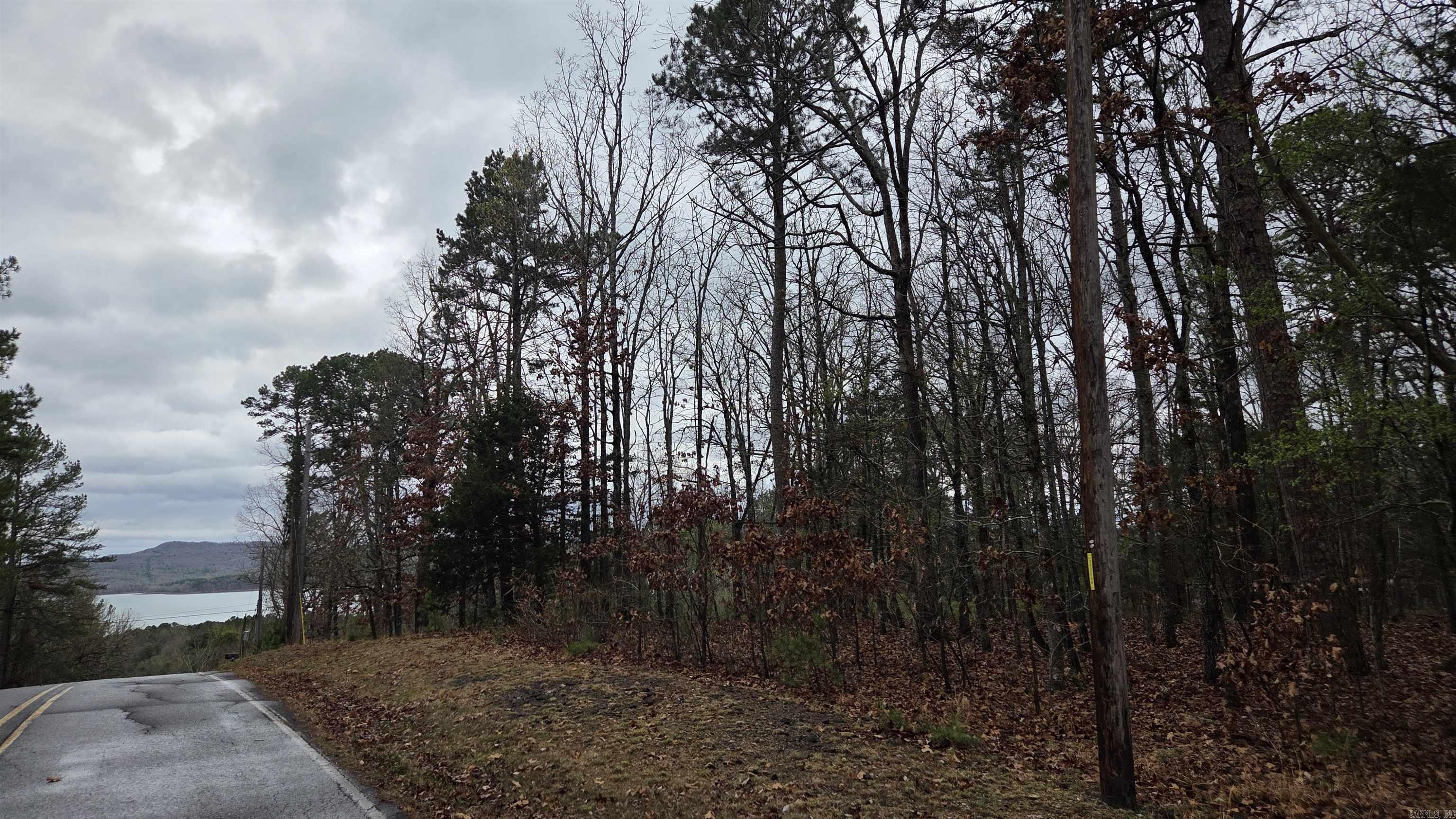 000 Hilltop  Fairfield Bay, AR