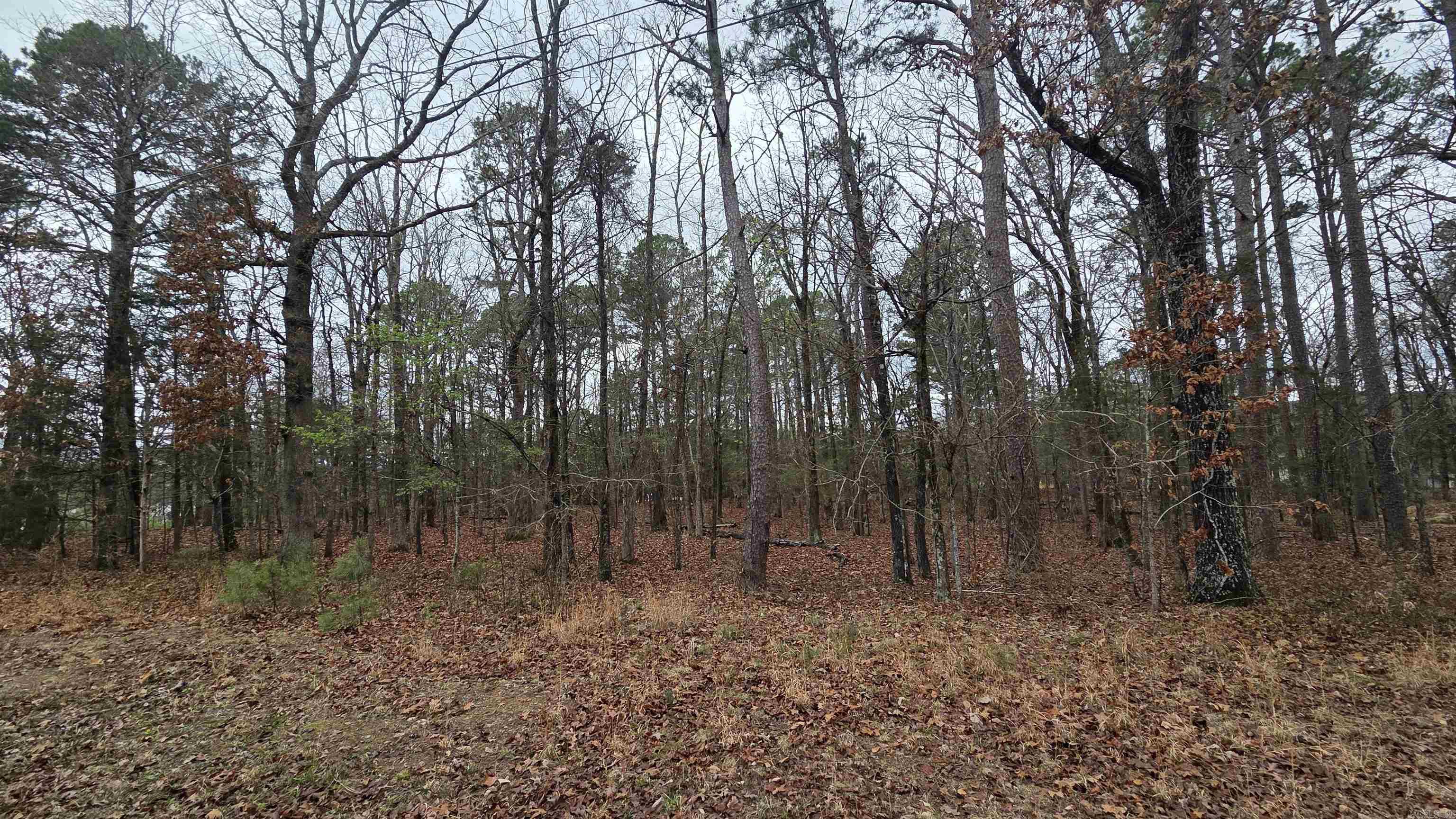 000 Hilltop  Fairfield Bay, AR