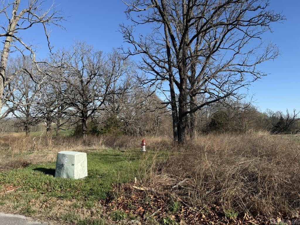 11082 N Hill Country Drive  Harrison, AR