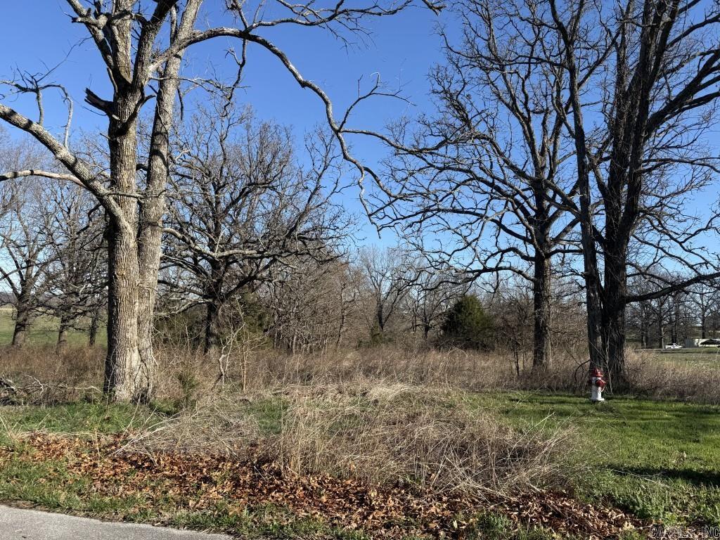 11082 N Hill Country Drive  Harrison, AR