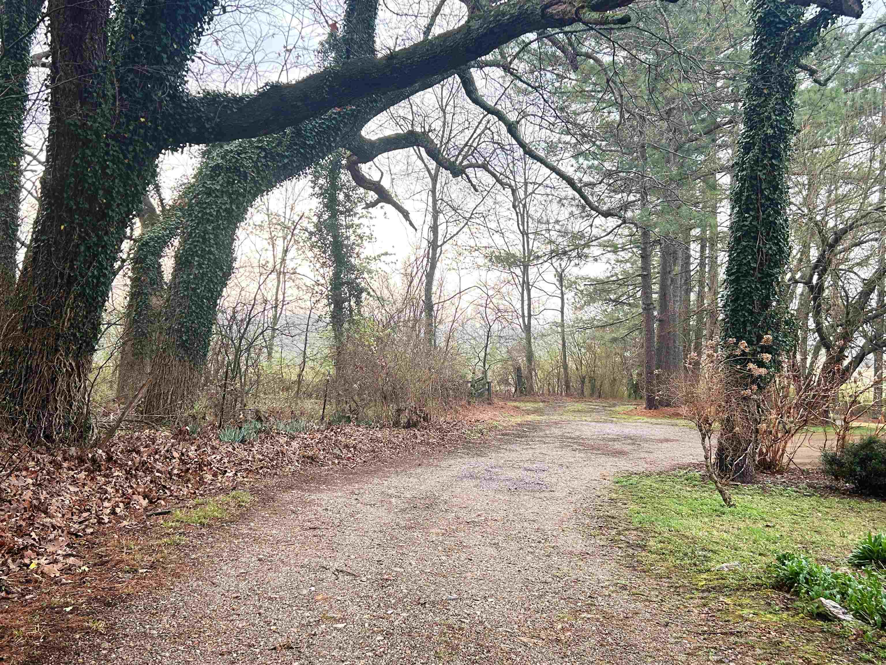 404 Evans  Ash Flat, AR