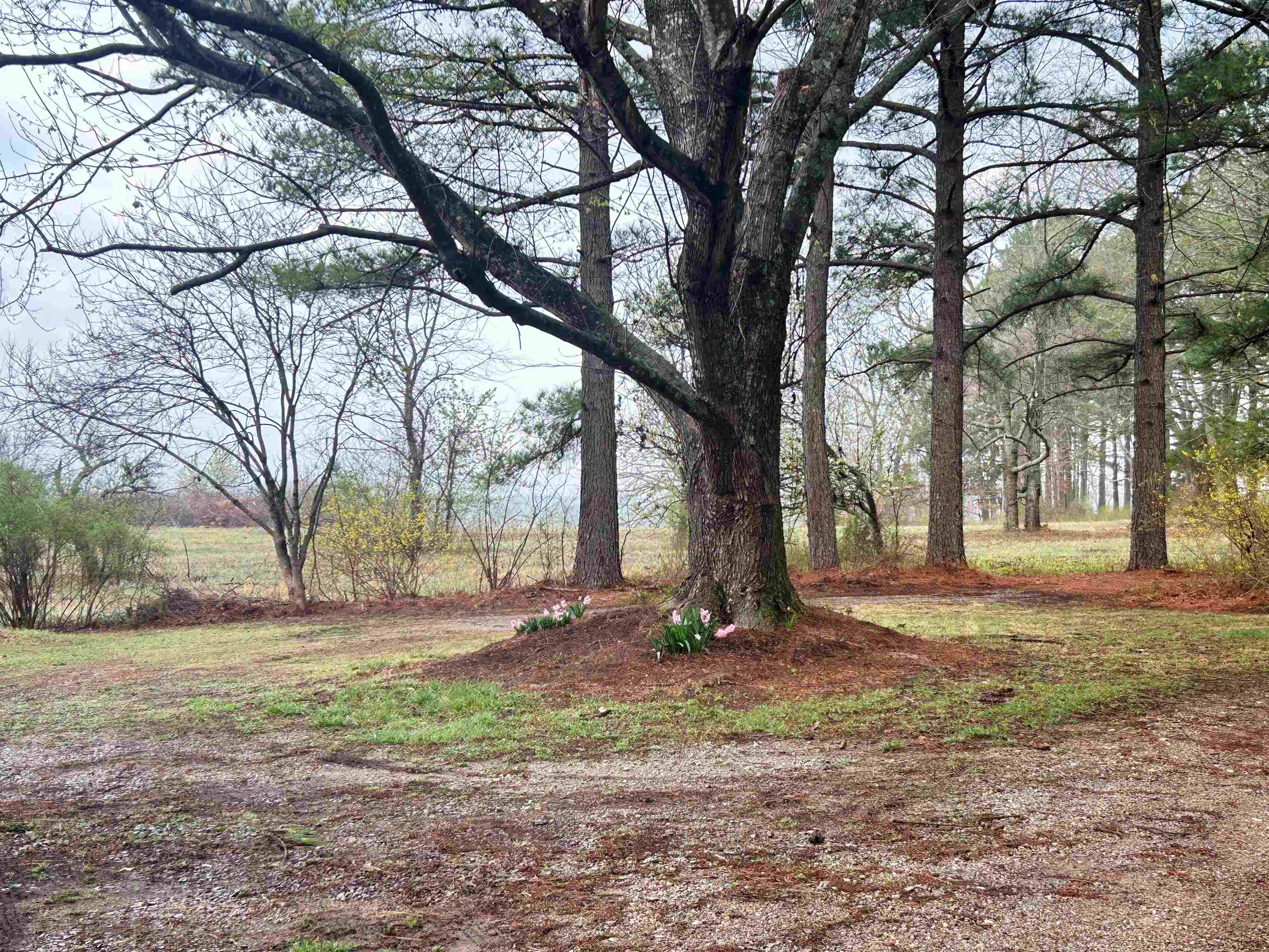 404 Evans  Ash Flat, AR