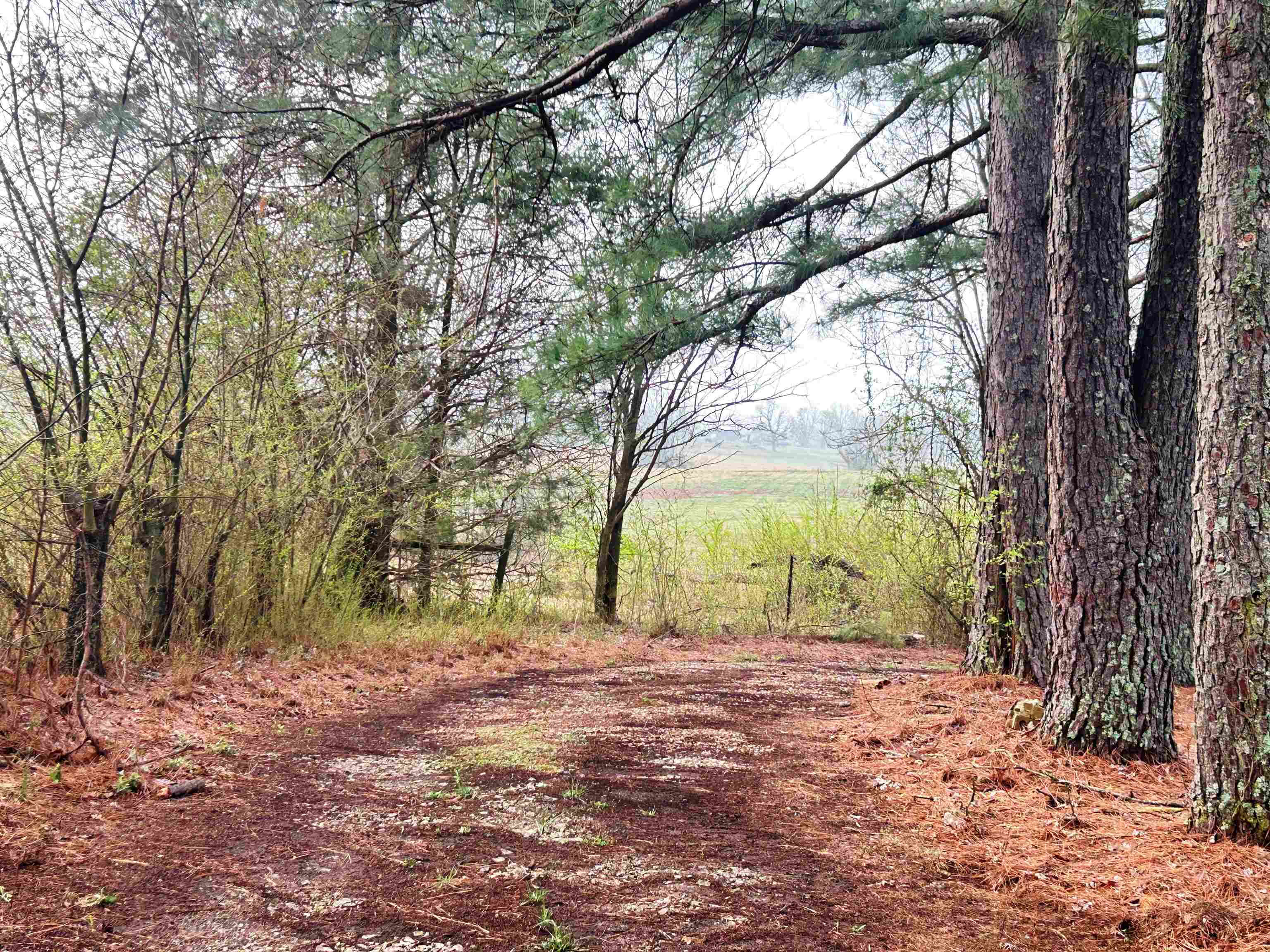 404 Evans  Ash Flat, AR