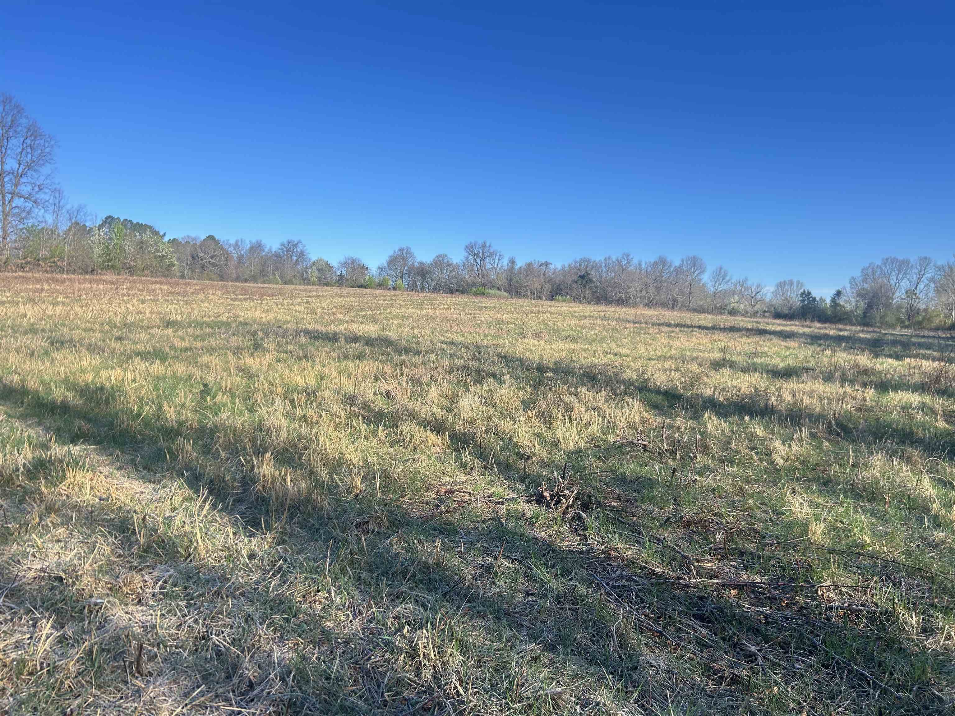 404 Evans  Ash Flat, AR