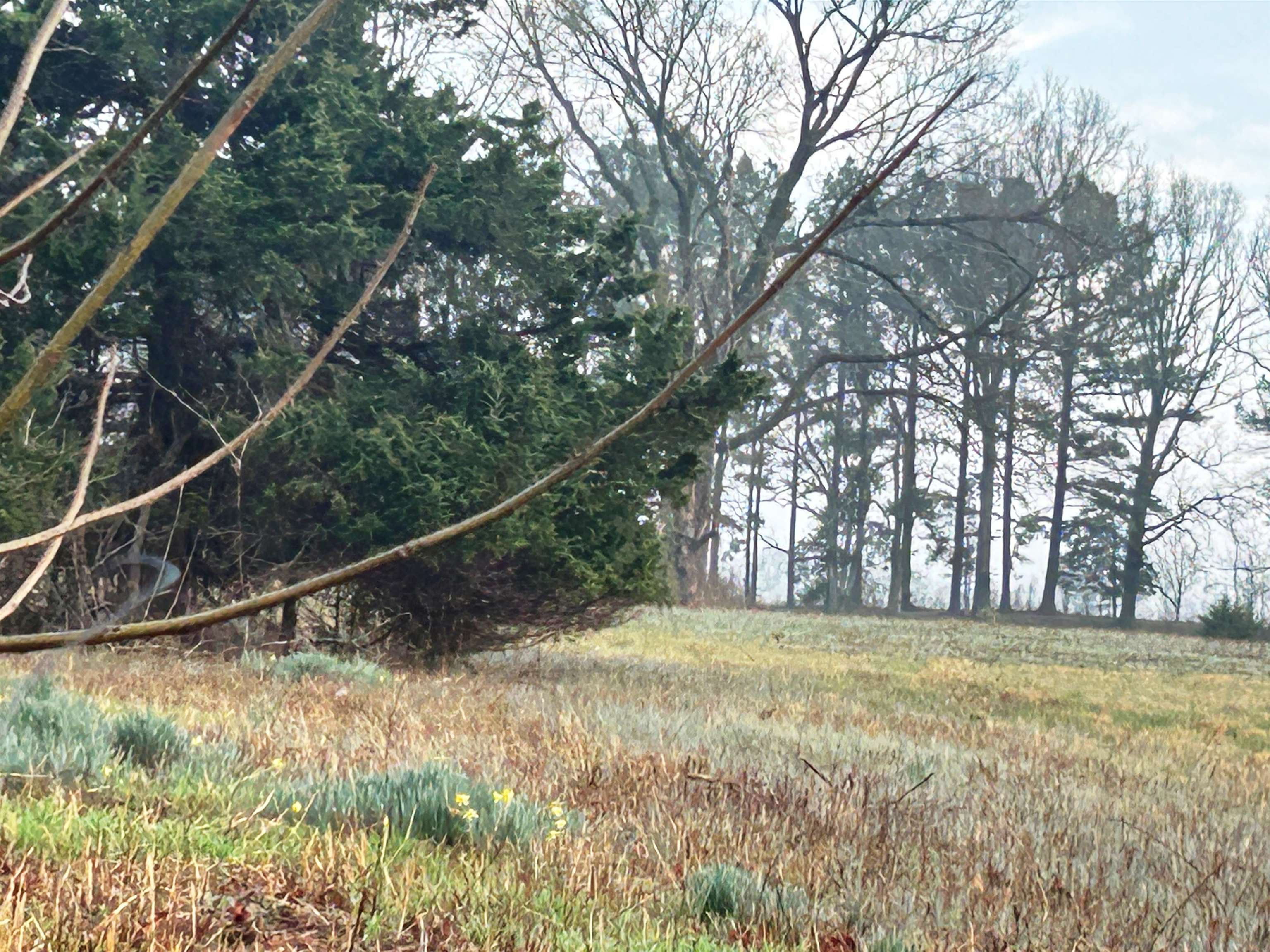 404 Evans  Ash Flat, AR