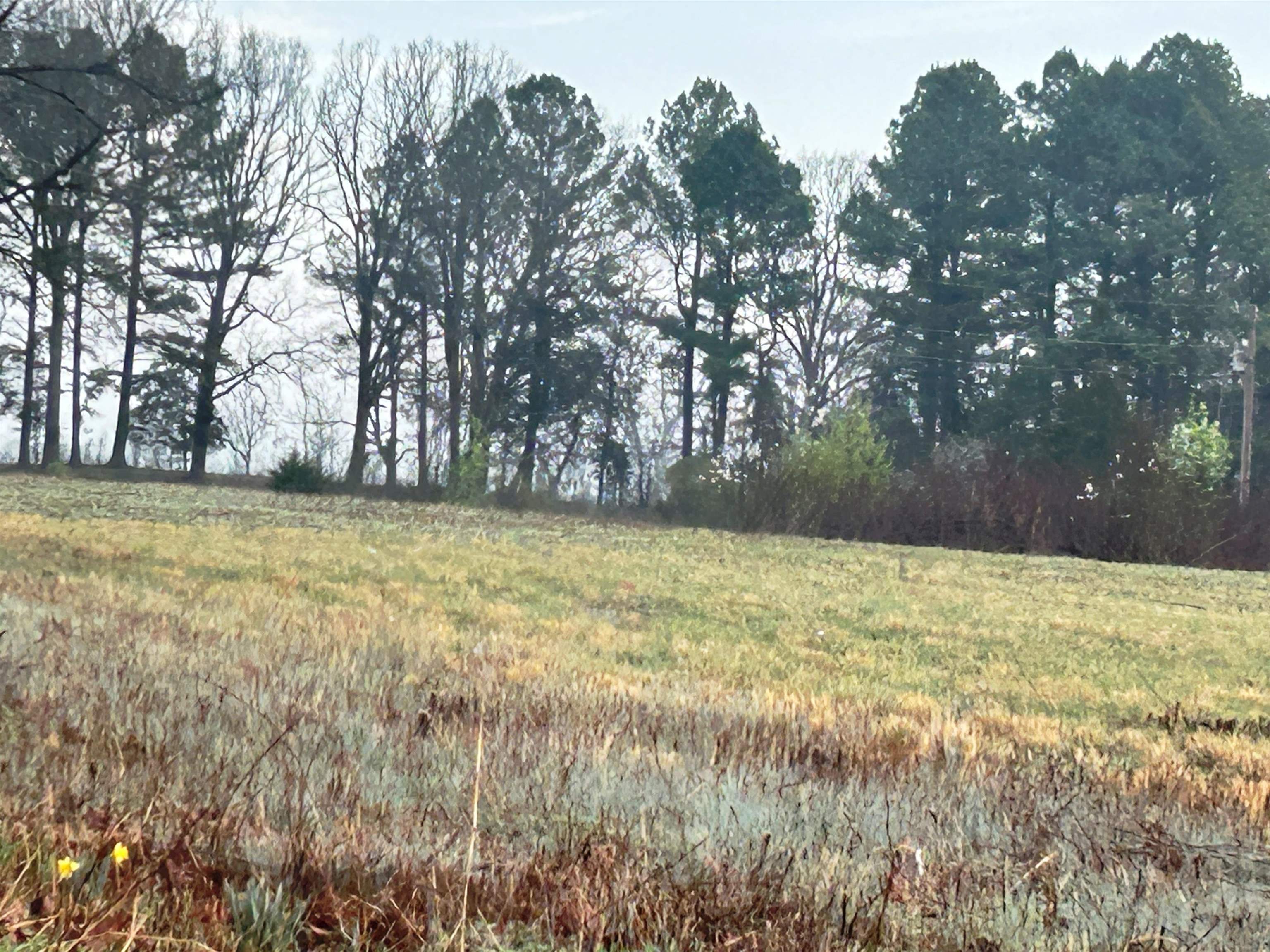 404 Evans  Ash Flat, AR