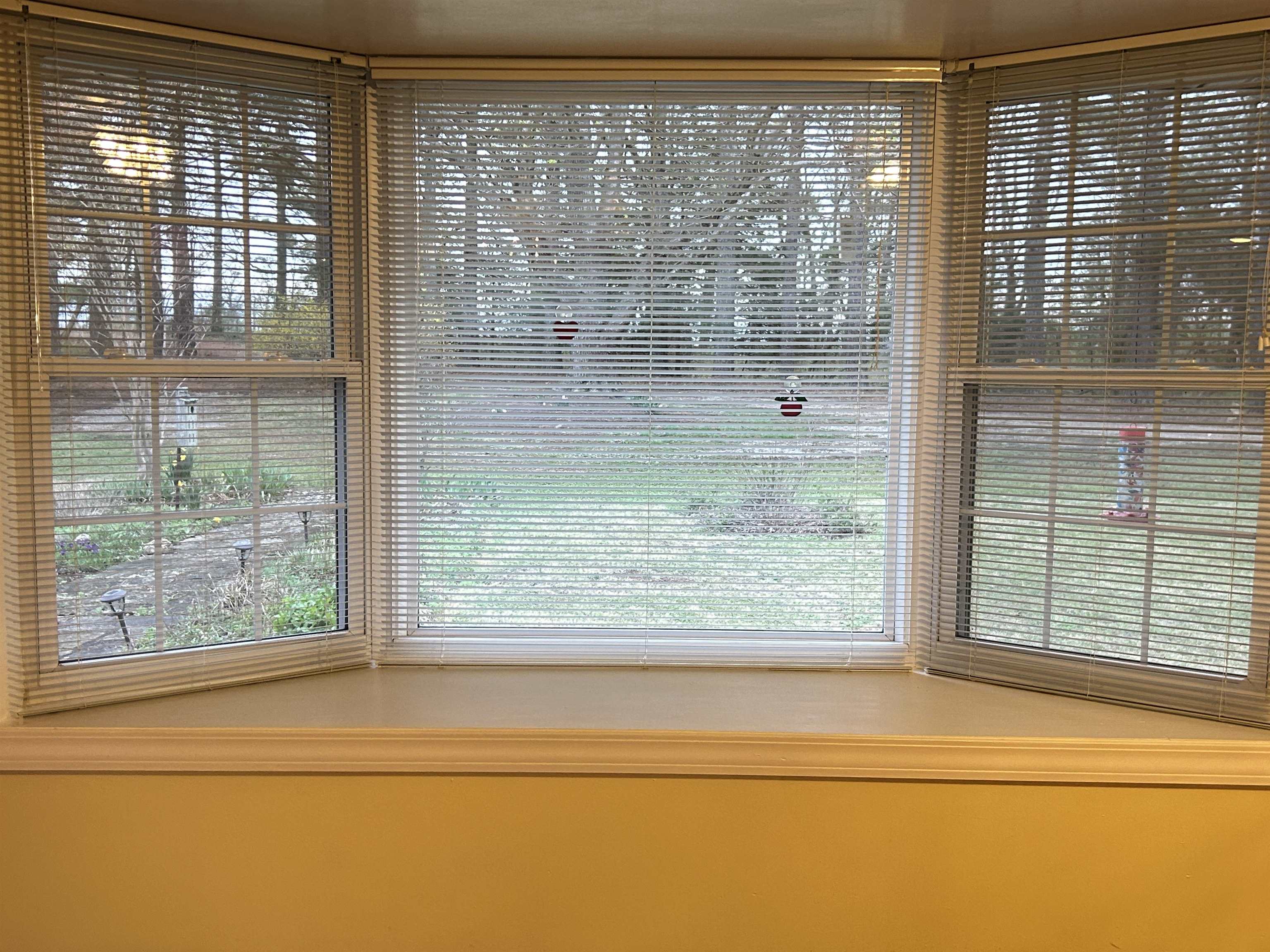 404 Evans  Ash Flat, AR