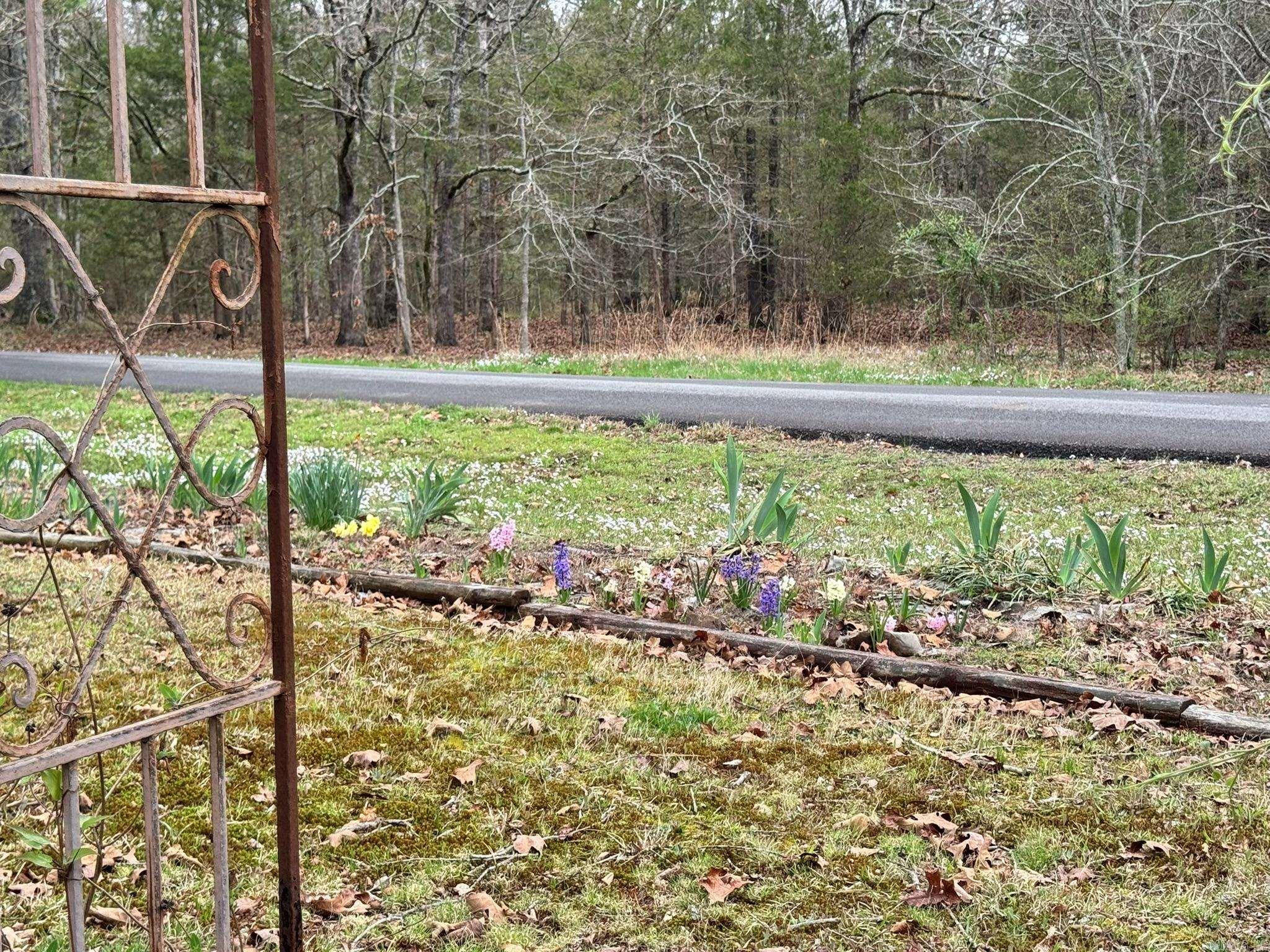 49 Valley  Conway, AR