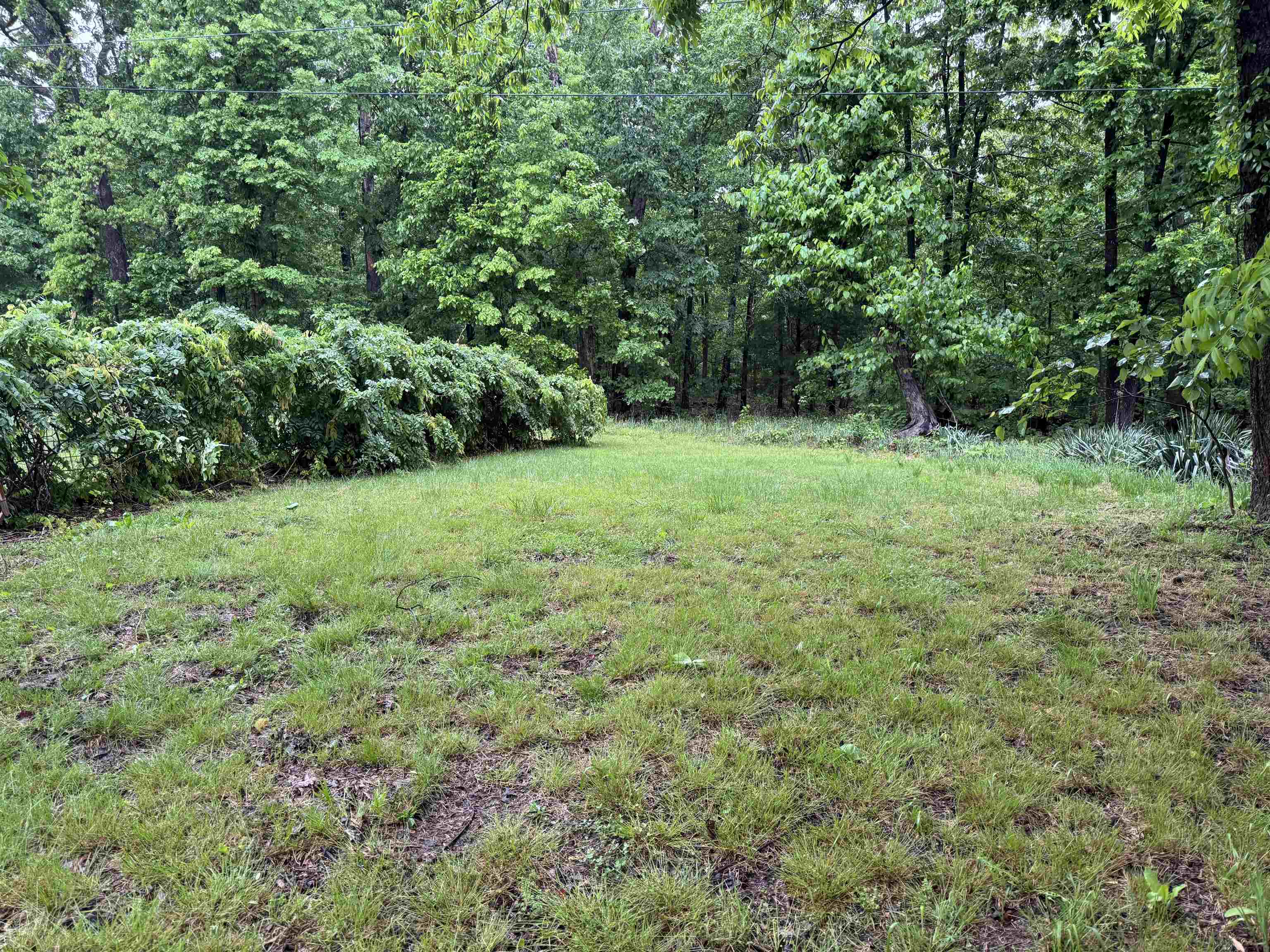 900 Oakwood Drive  Horseshoe Bend, AR