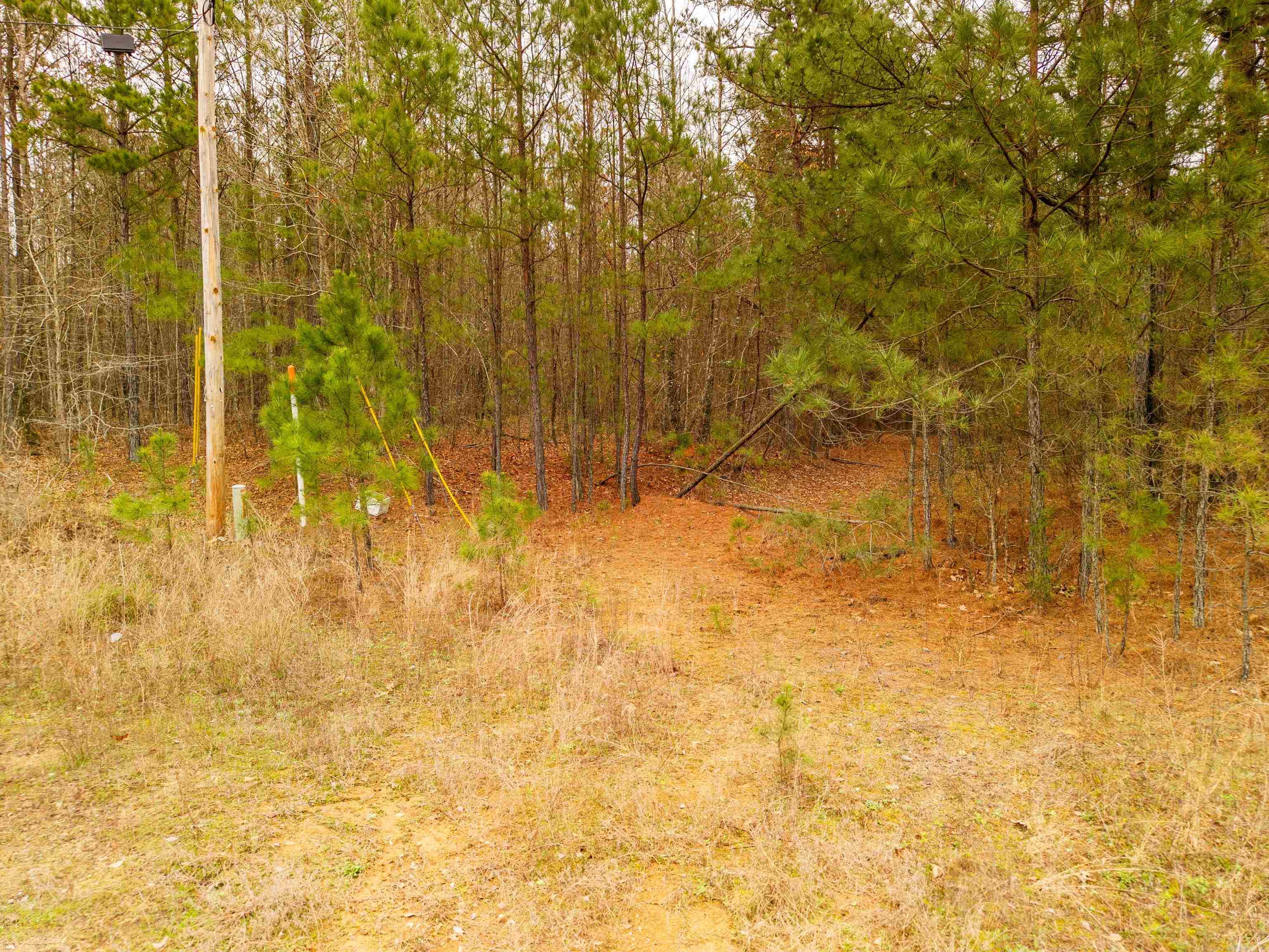 000 Whispering Wind  Bonnerdale, AR