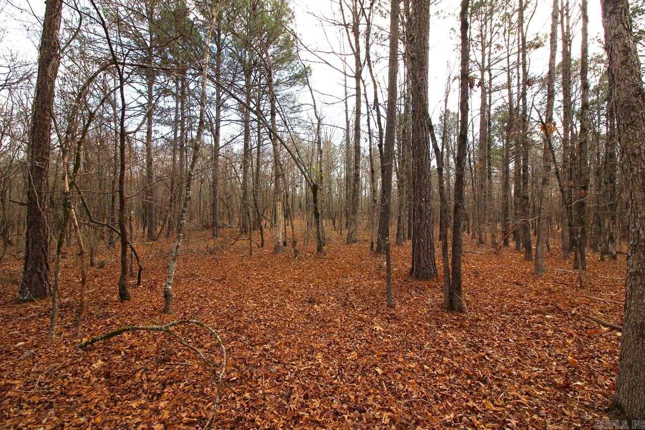 000 Whispering Wind  Bonnerdale, AR