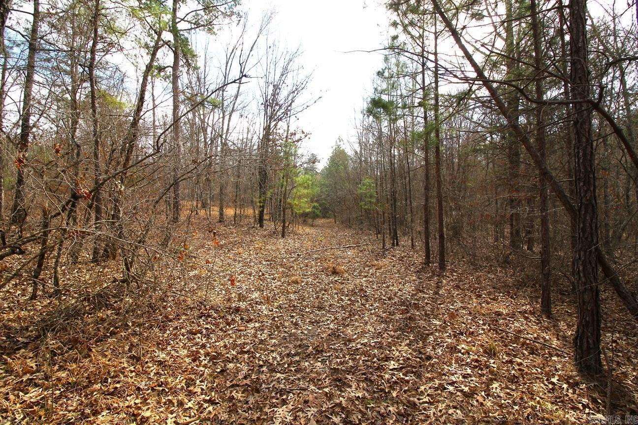 000 Whispering Wind  Bonnerdale, AR