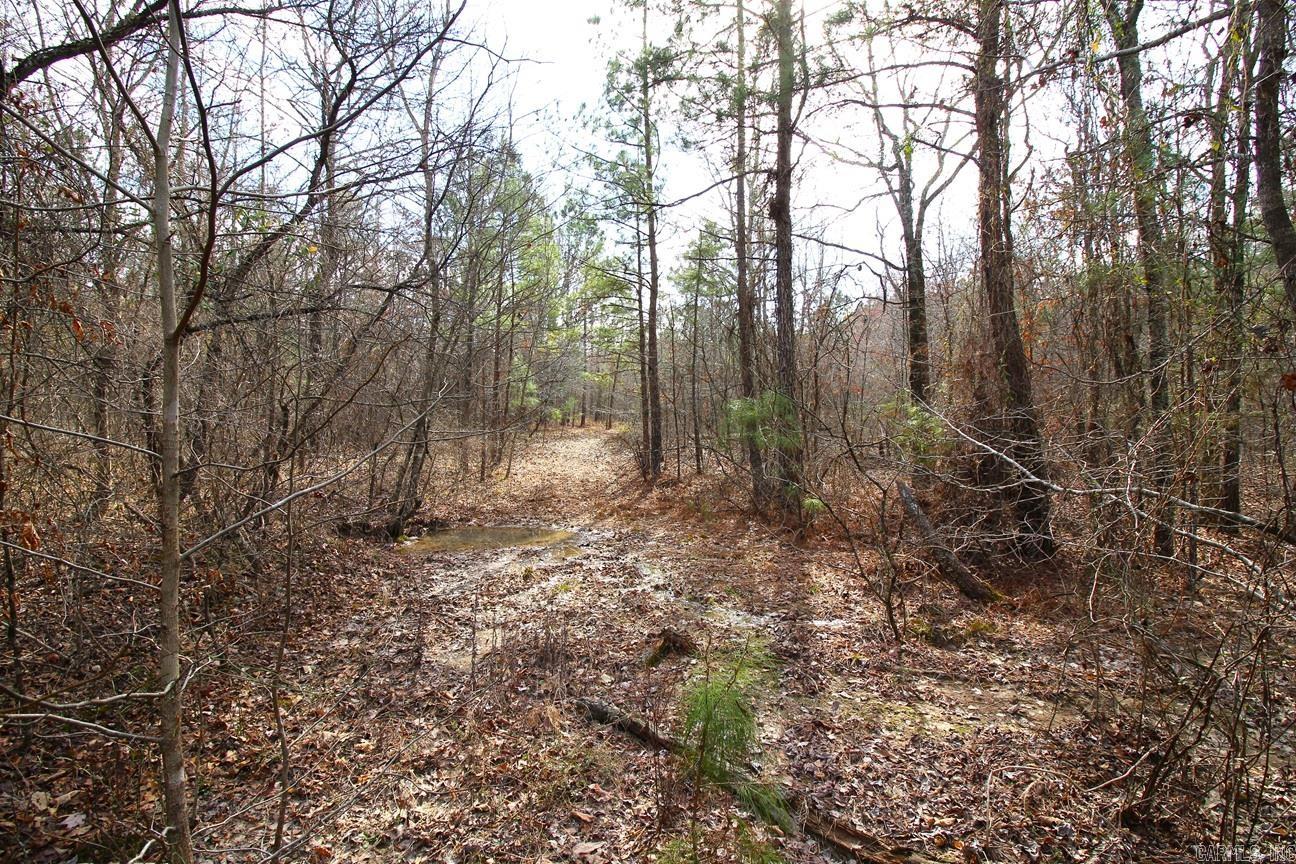 000 Whispering Wind  Bonnerdale, AR