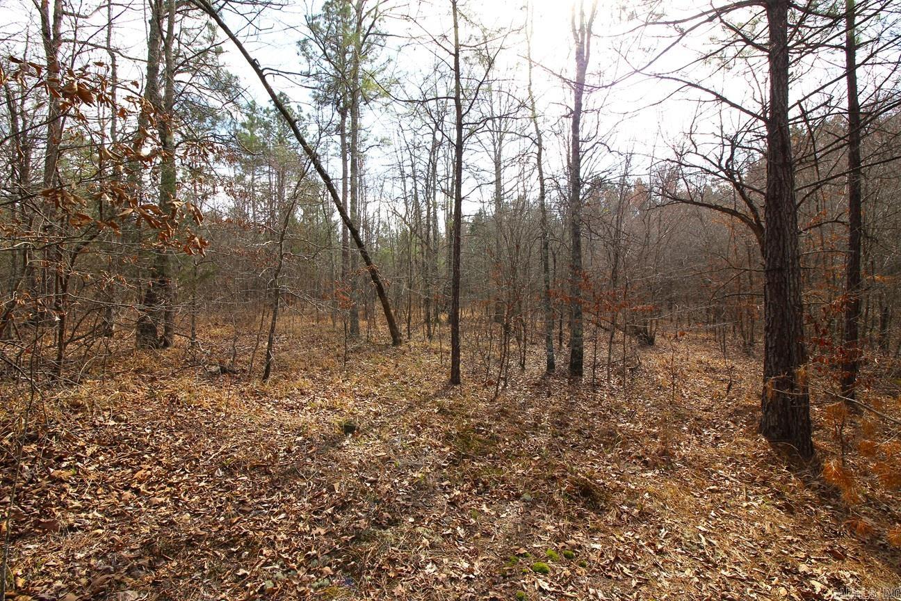 000 Whispering Wind  Bonnerdale, AR