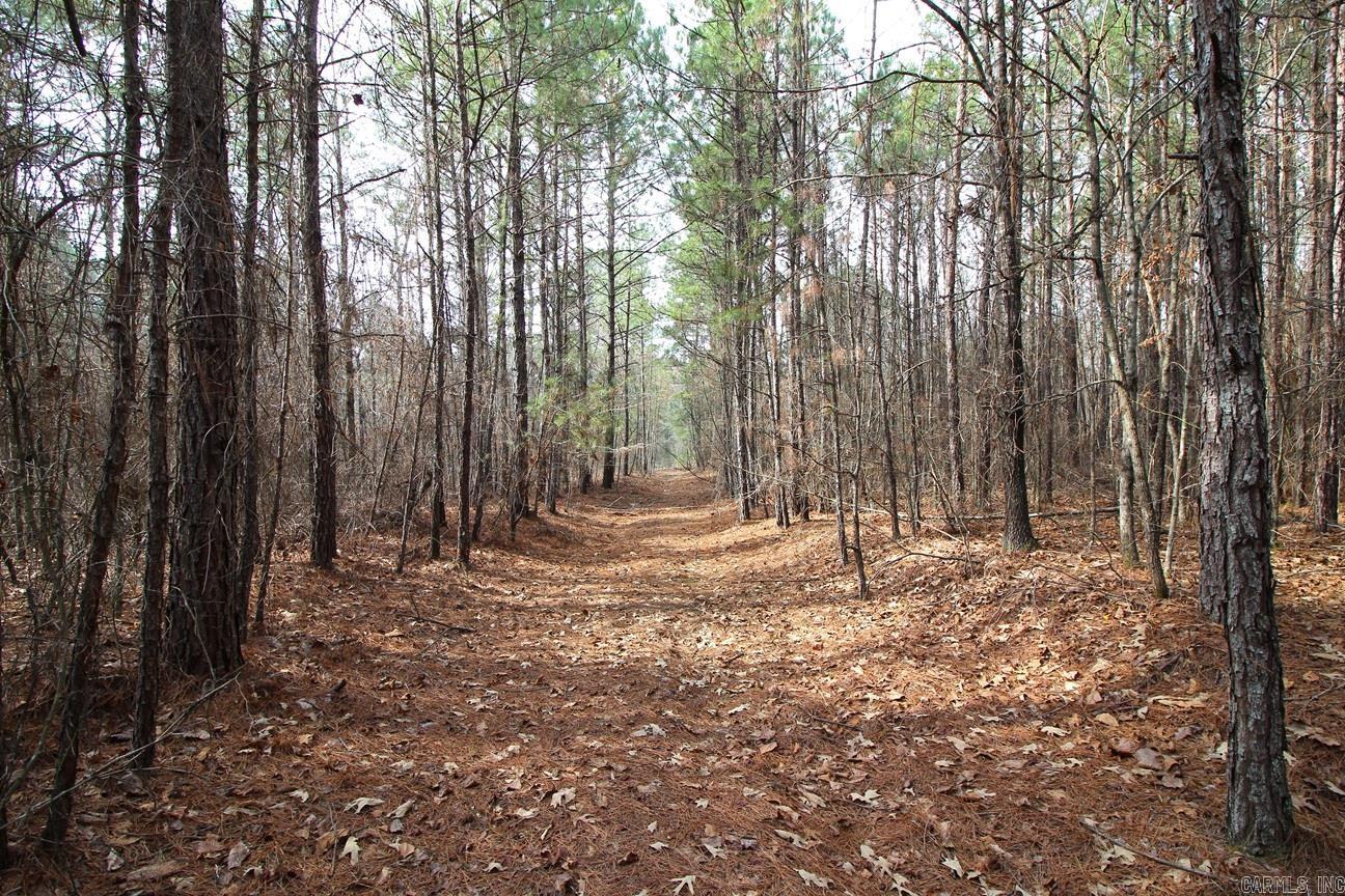 000 Whispering Wind  Bonnerdale, AR