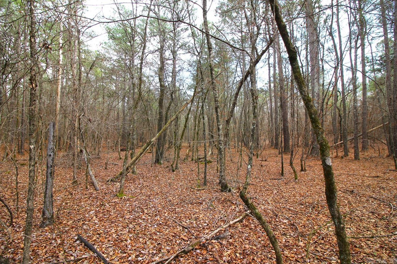 000 Whispering Wind  Bonnerdale, AR