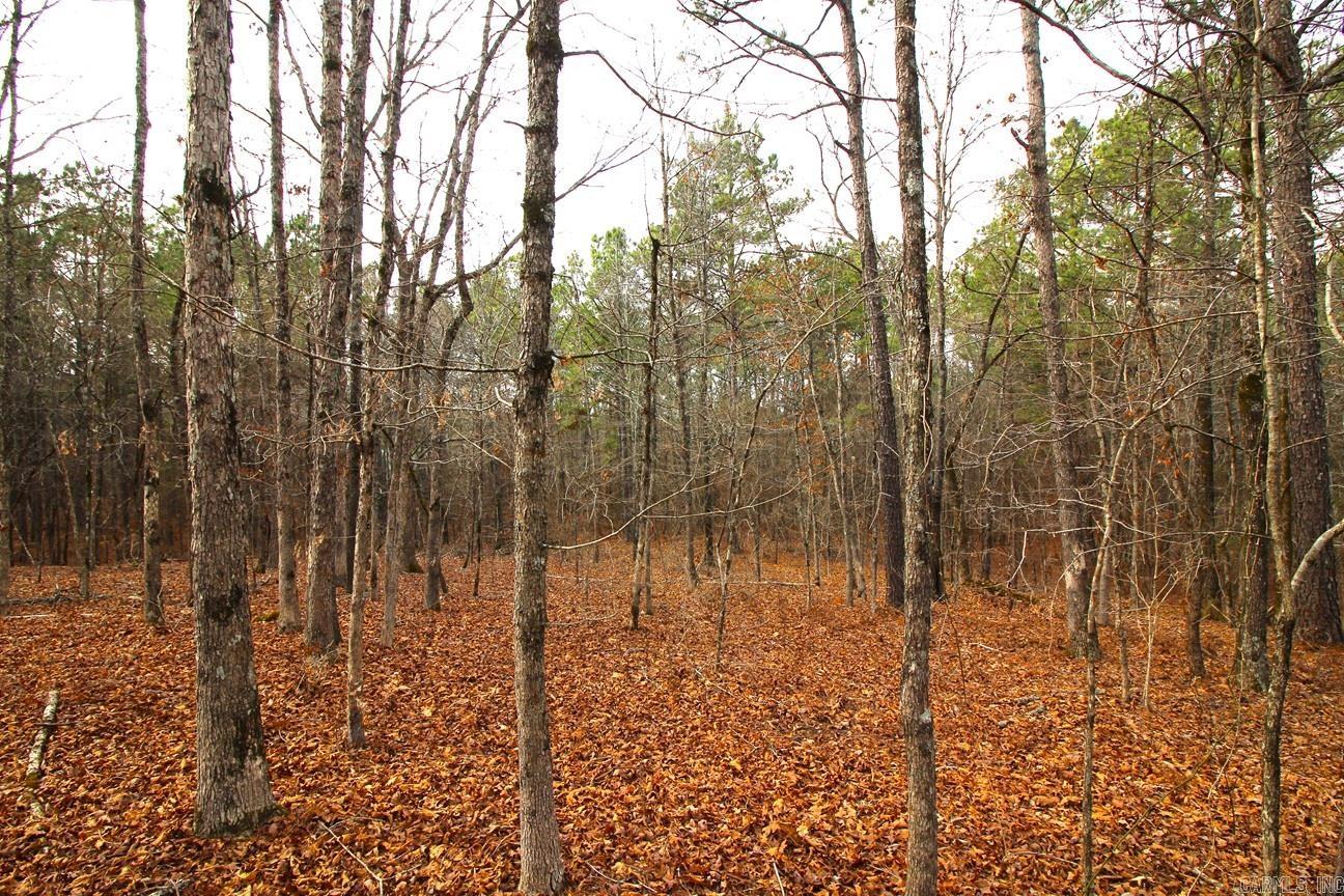 000 Whispering Wind  Bonnerdale, AR