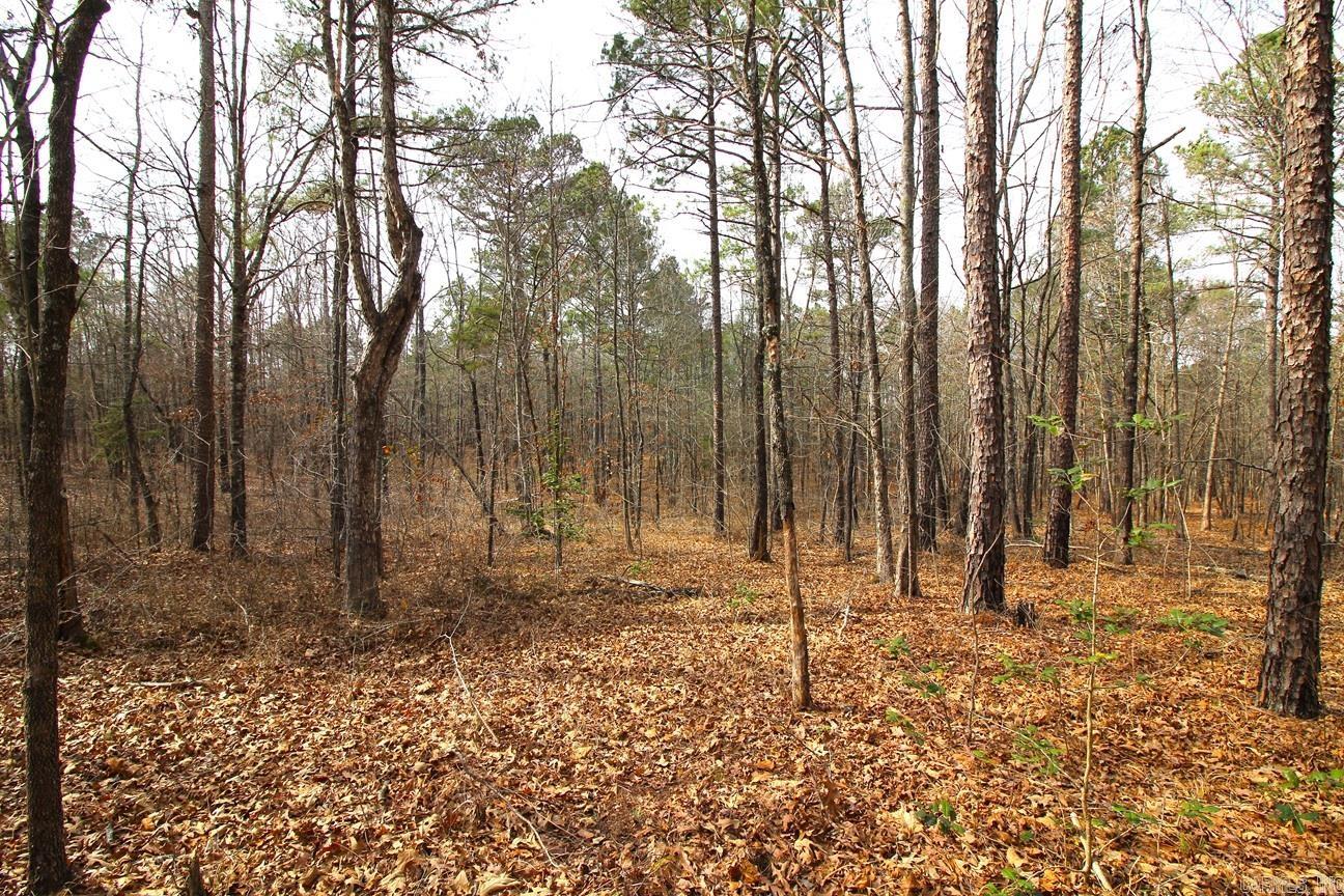000 Whispering Wind  Bonnerdale, AR
