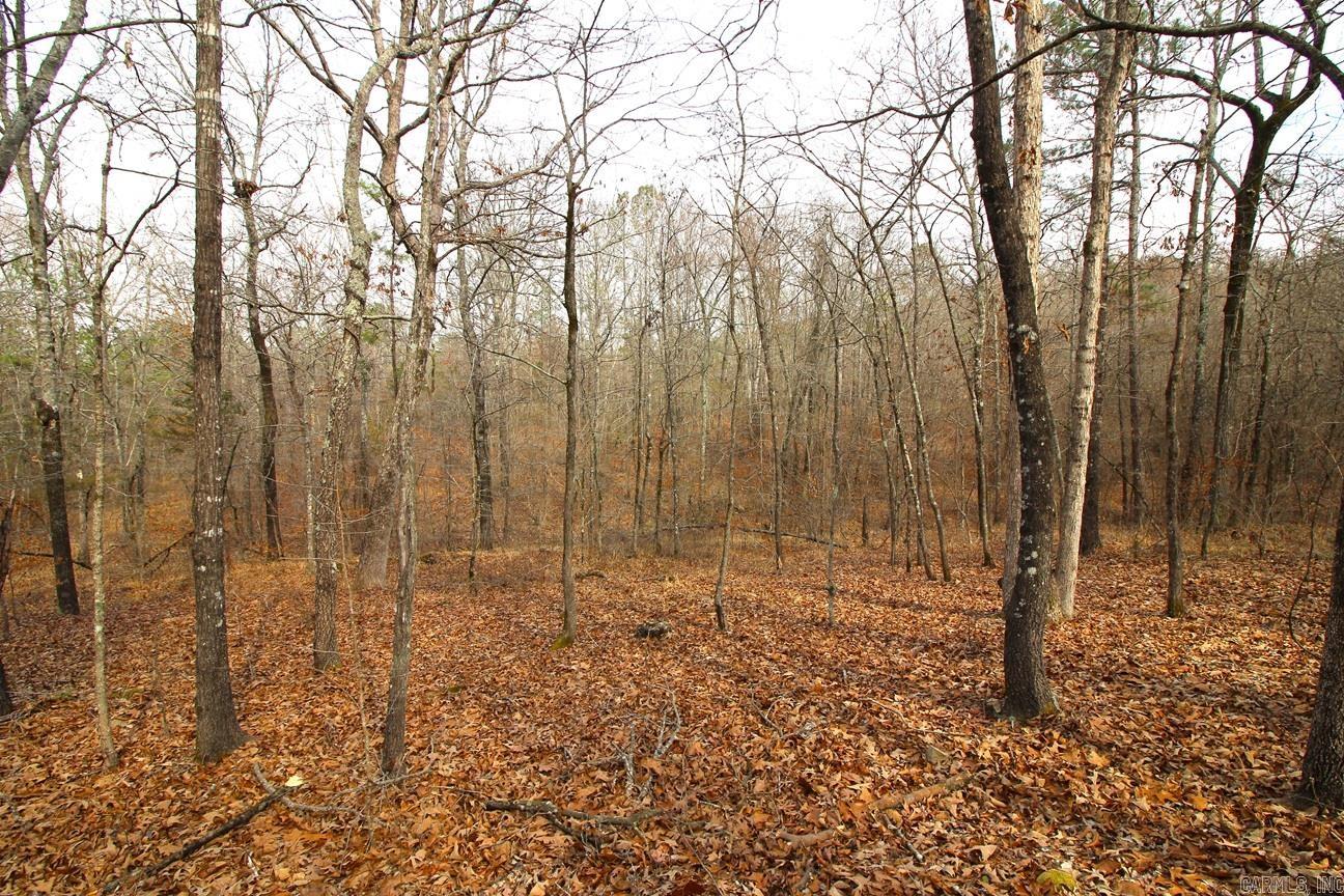 000 Whispering Wind  Bonnerdale, AR