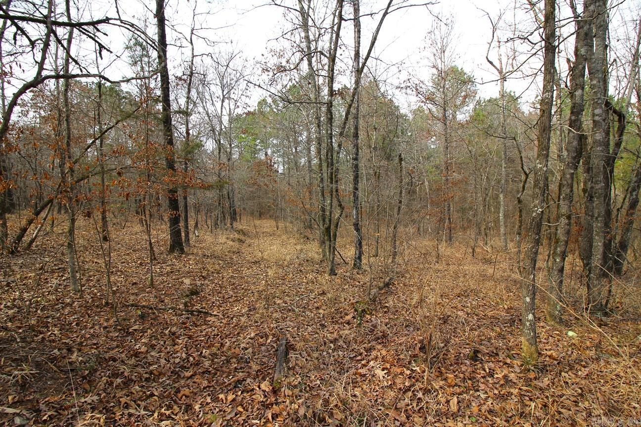 000 Whispering Wind  Bonnerdale, AR