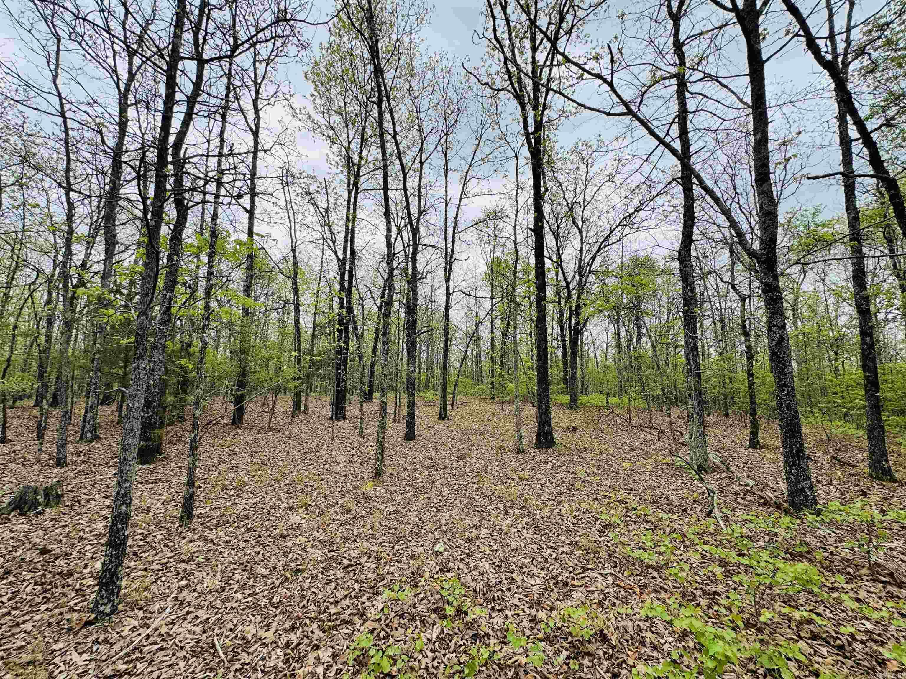 113 Allen  Vilonia, AR