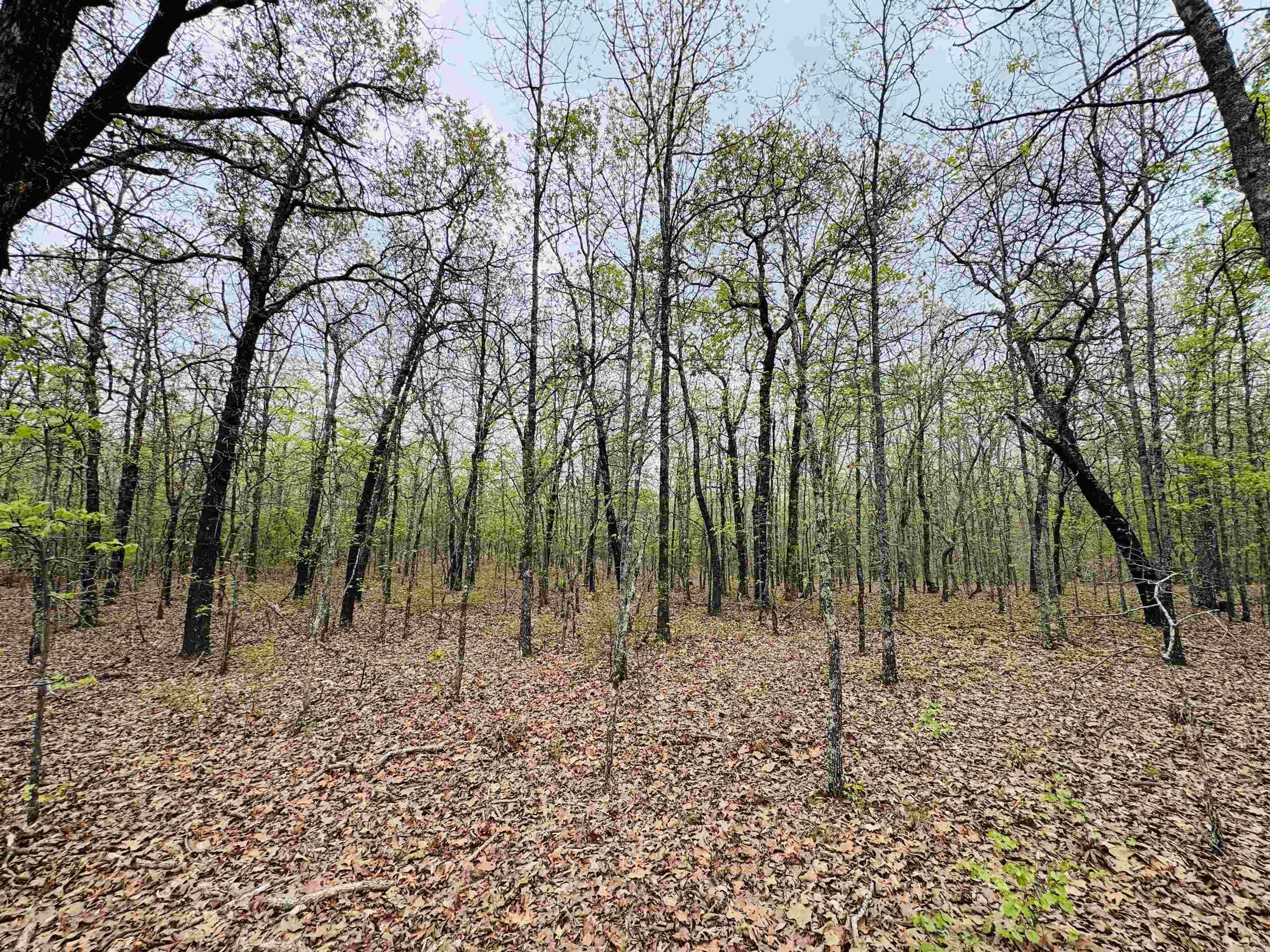 113 Allen  Vilonia, AR
