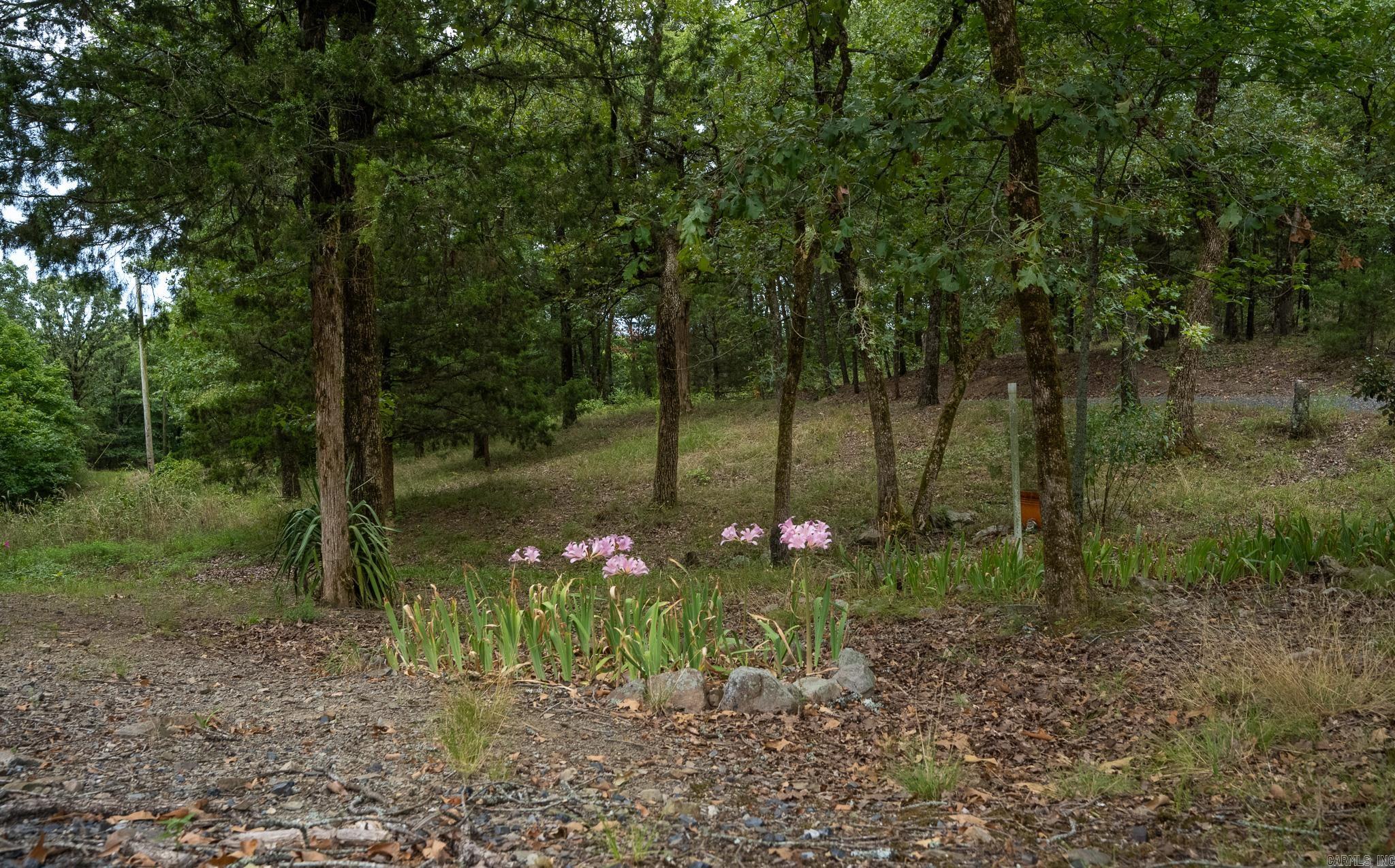 4166 8 West  Mena, AR