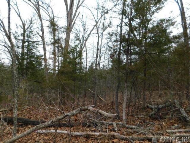 001-06205-001 County Road 784  Mountain Home, AR