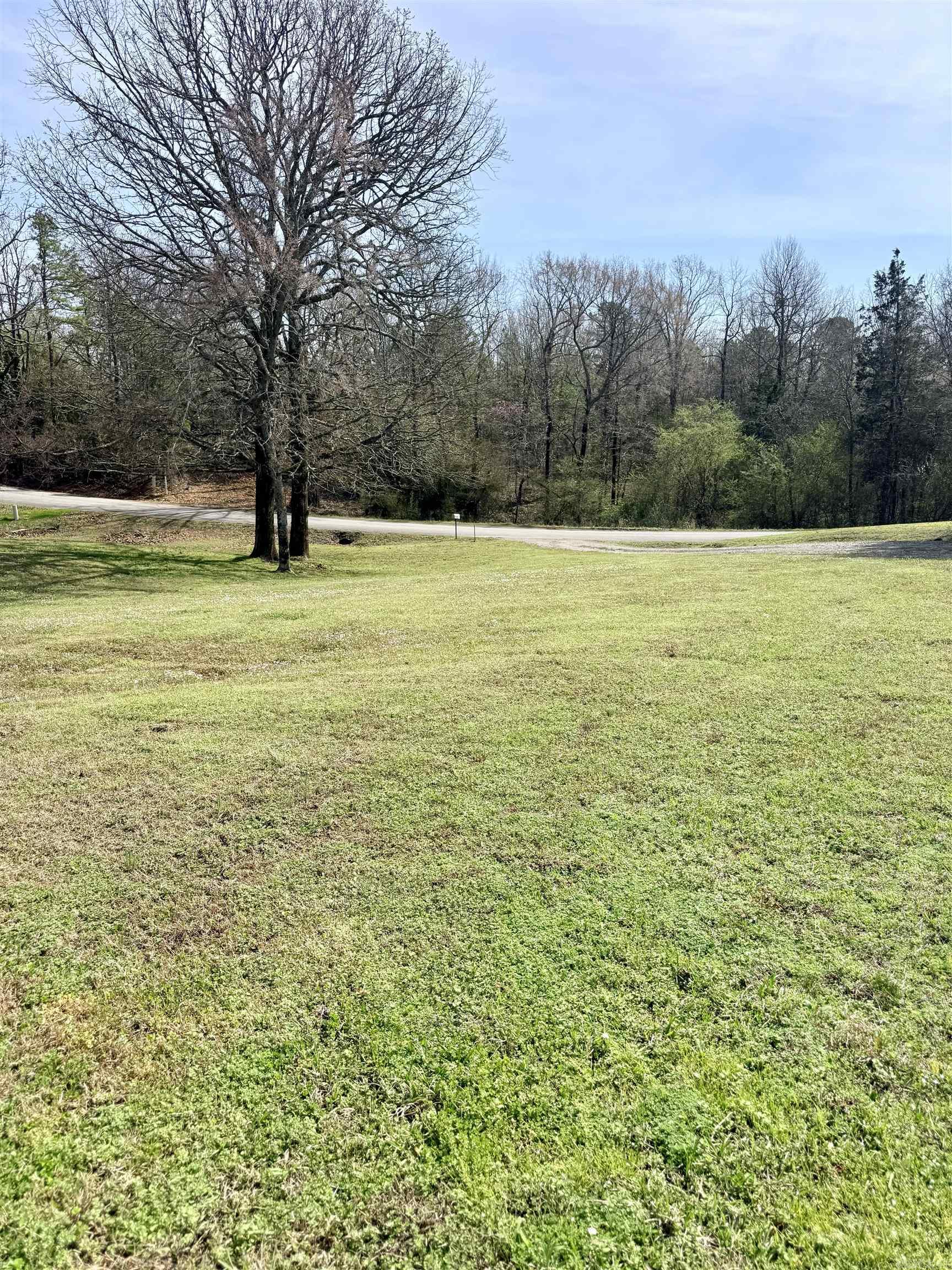 150 Long Branch  Heber Springs, AR