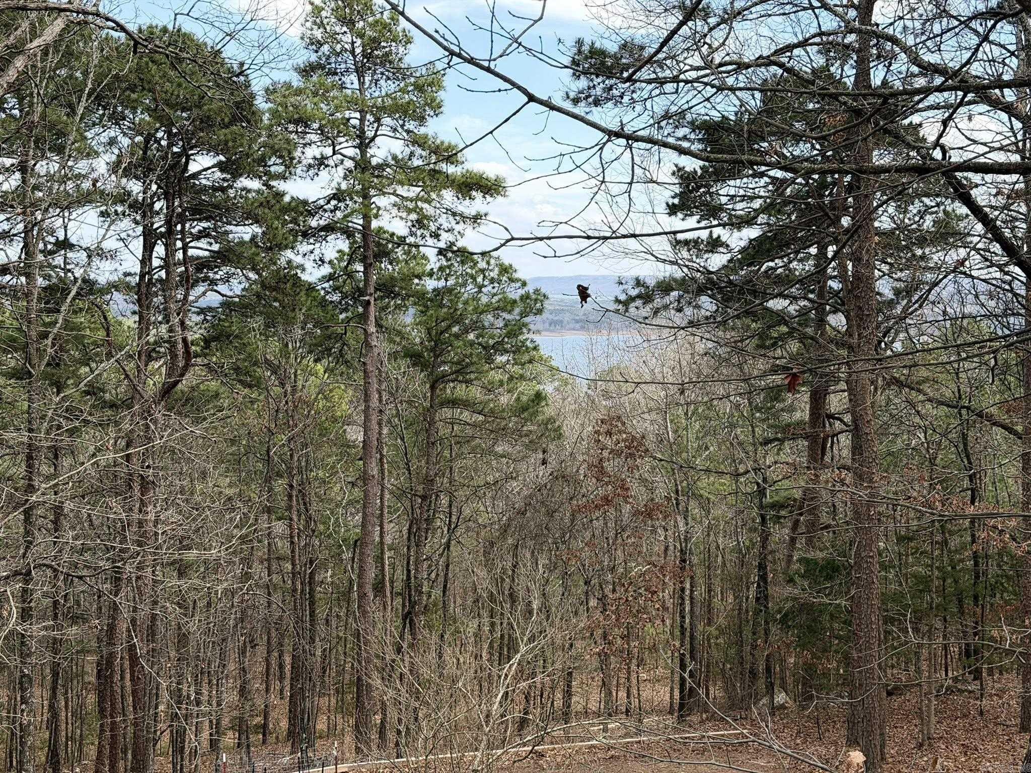 142 Glenwood  Fairfield Bay, AR