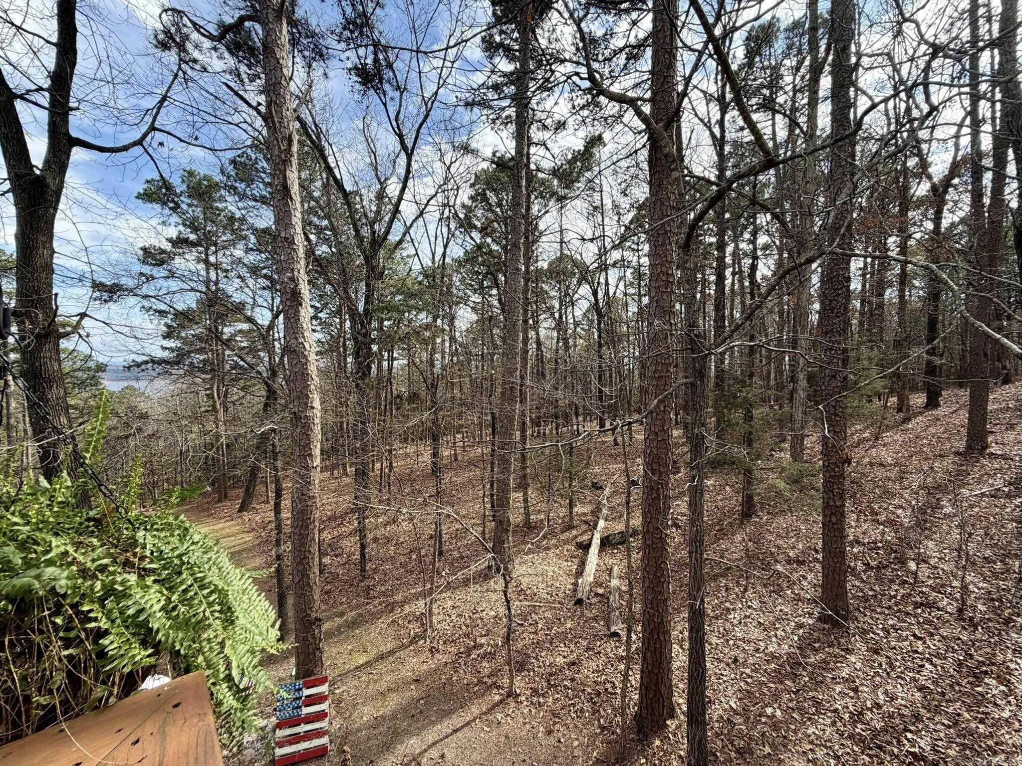 142 Glenwood  Fairfield Bay, AR