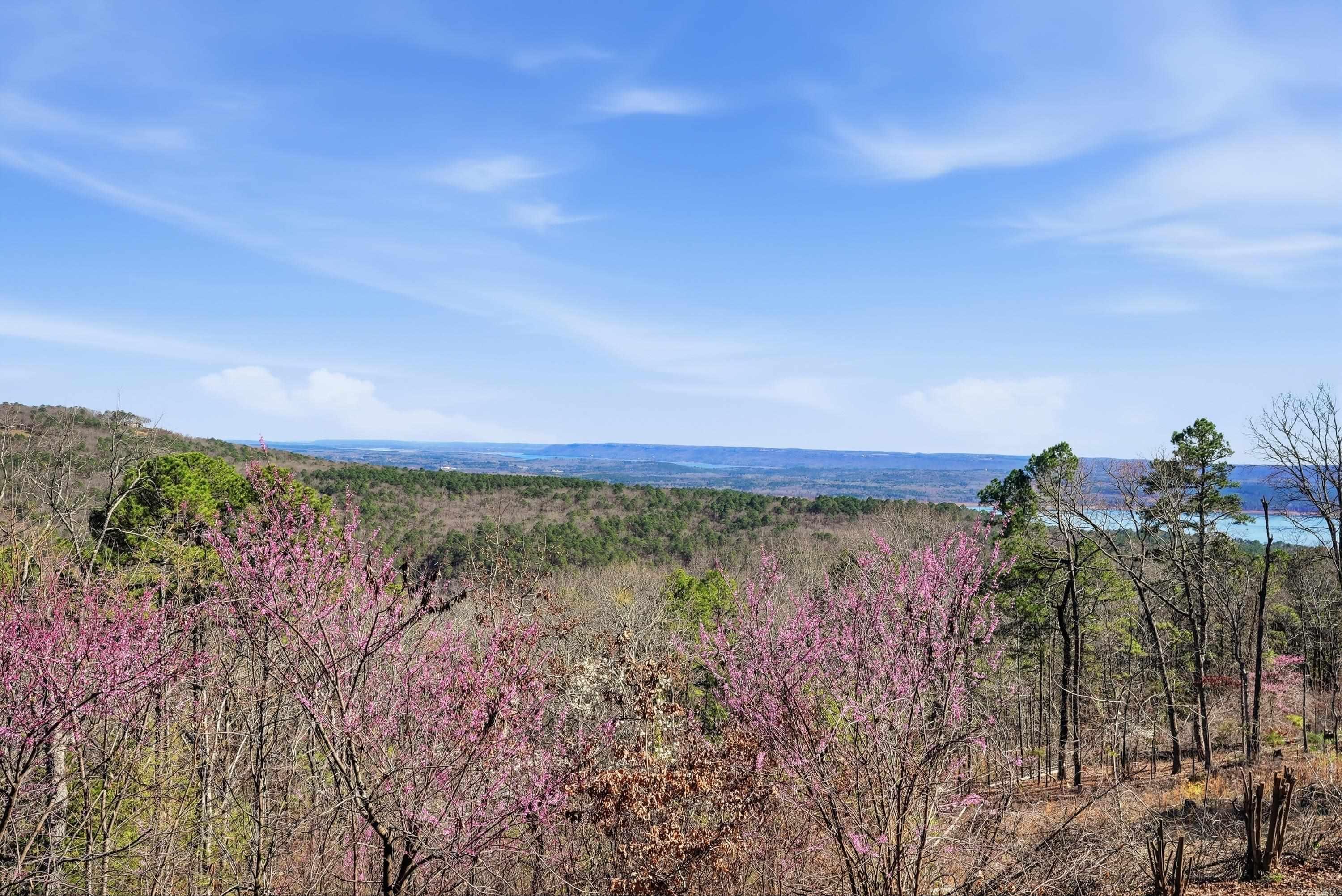 125 Chelsea Unit 27  Fairfield Bay, AR