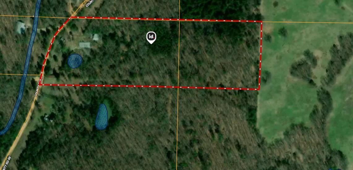 298 Red Lamb  Melbourne, AR