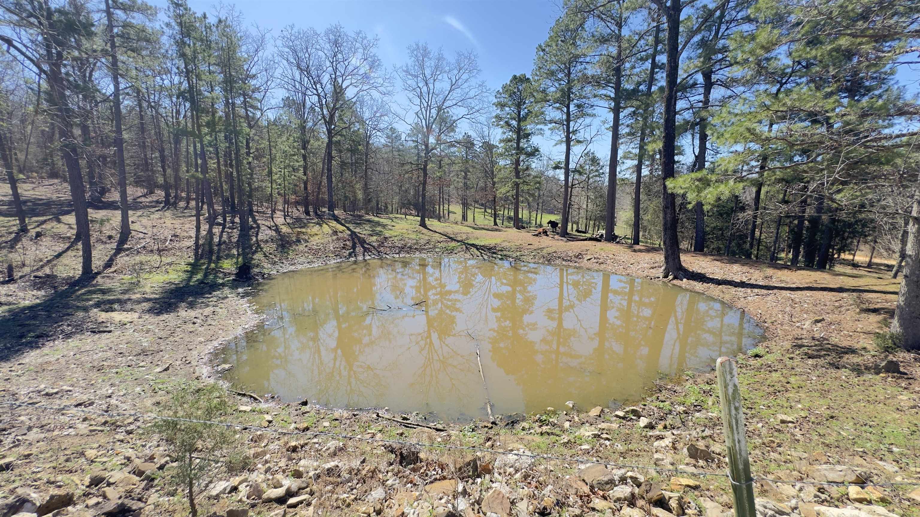 298 Red Lamb  Melbourne, AR