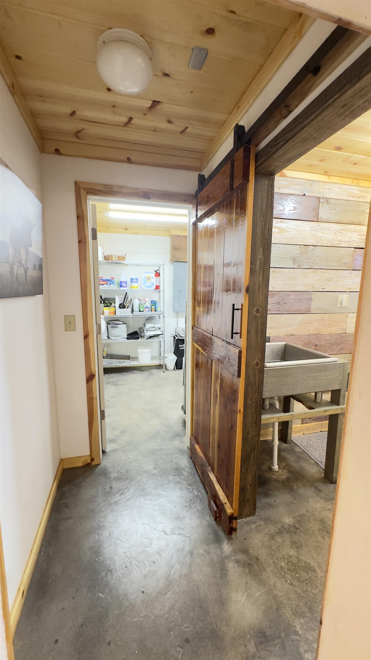 298 Red Lamb  Melbourne, AR