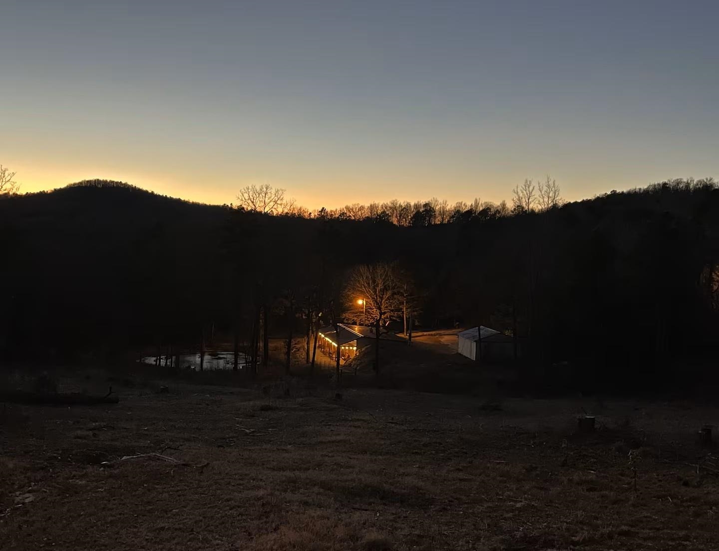 298 Red Lamb  Melbourne, AR