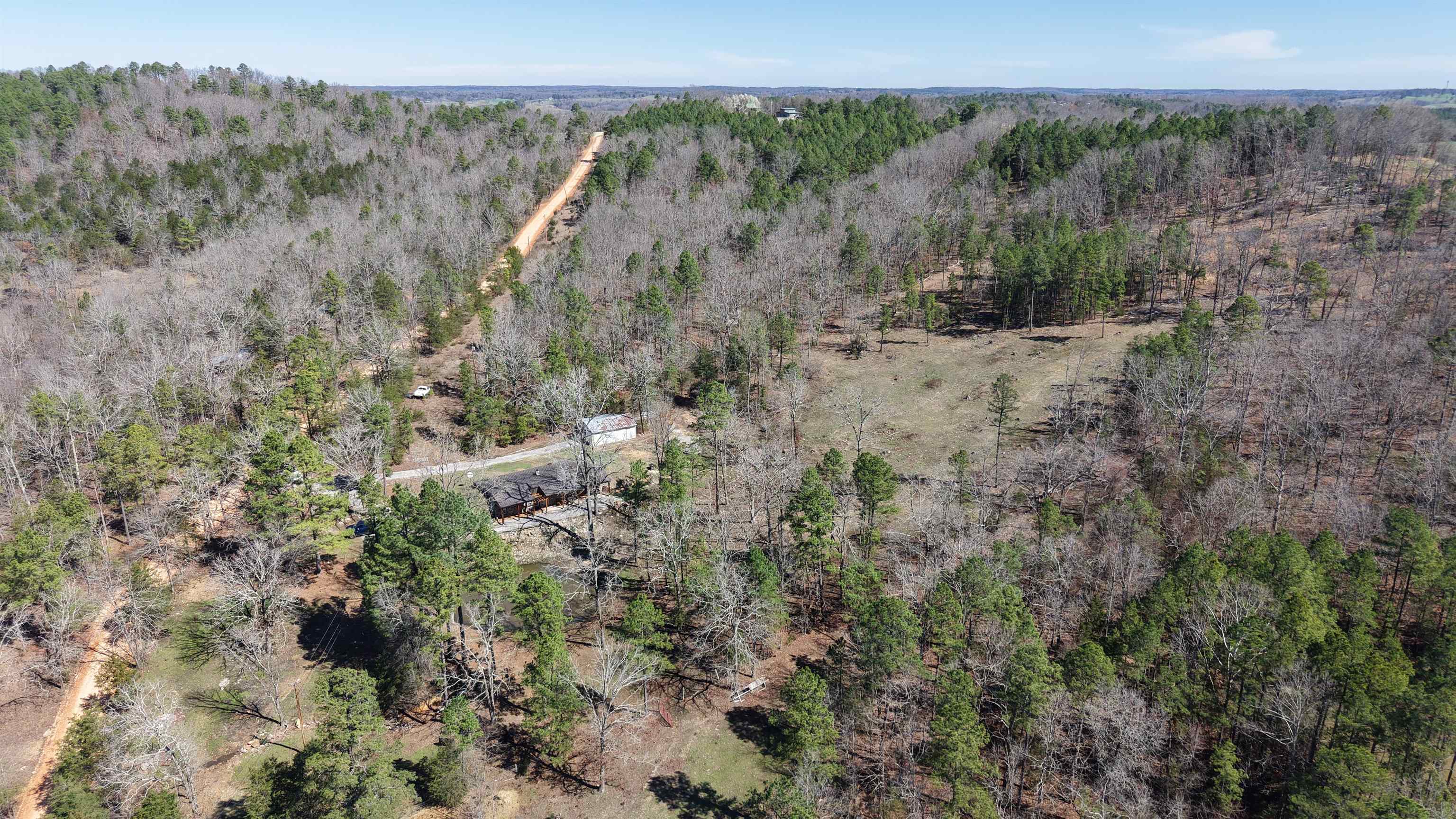 298 Red Lamb  Melbourne, AR