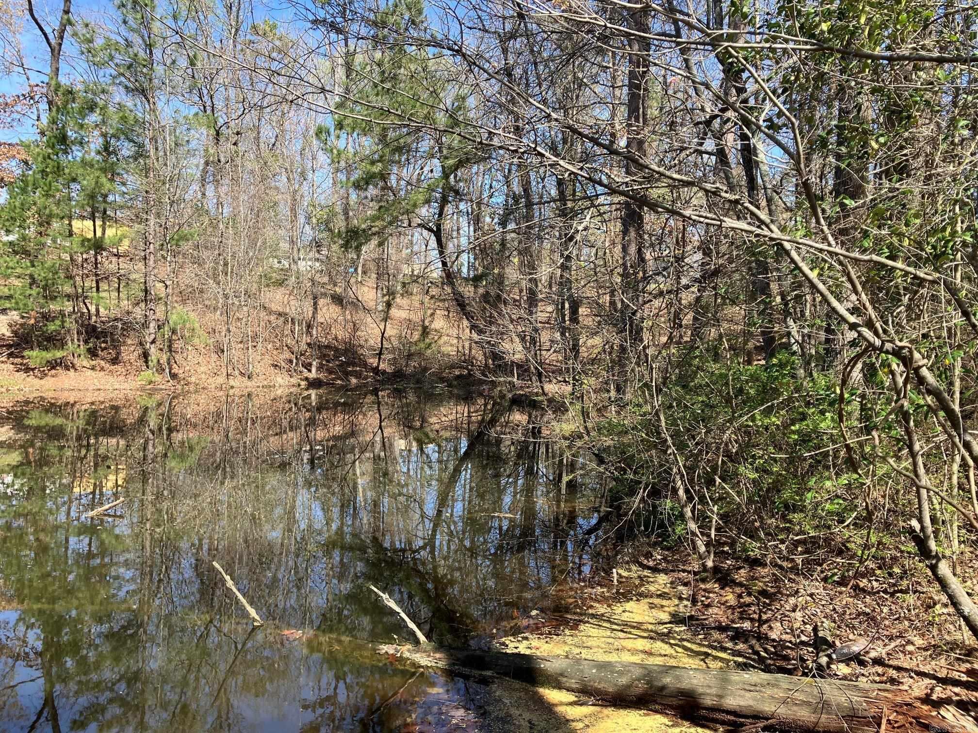 137 Rolling Fork Dr  De Queen, AR