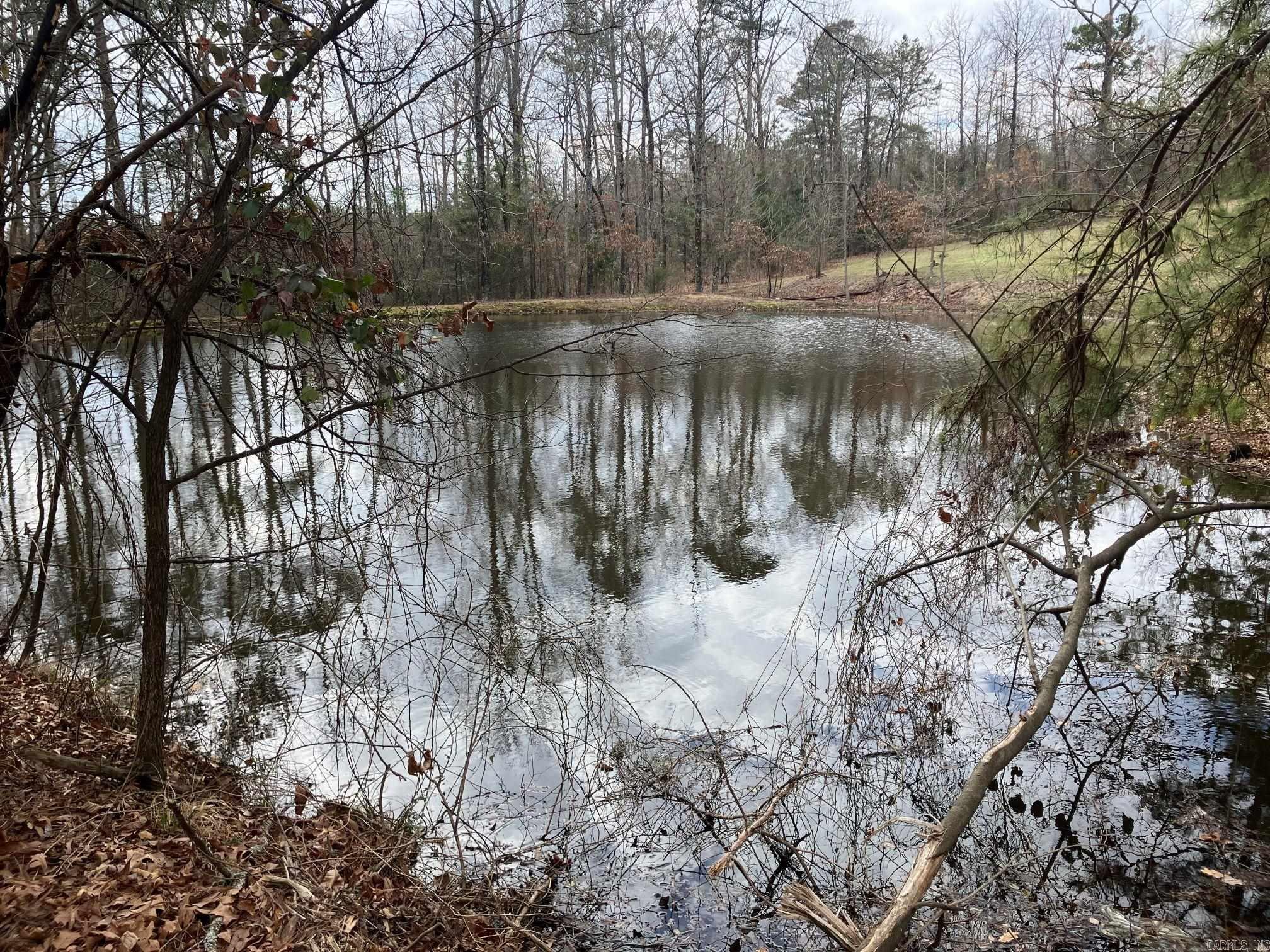 137 Rolling Fork Dr  De Queen, AR