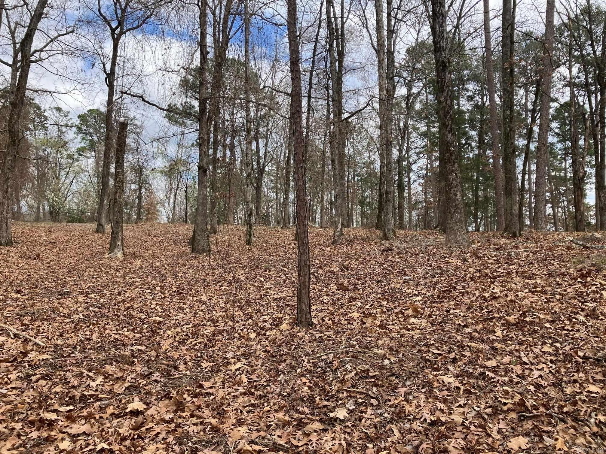 137 Rolling Fork Dr  De Queen, AR