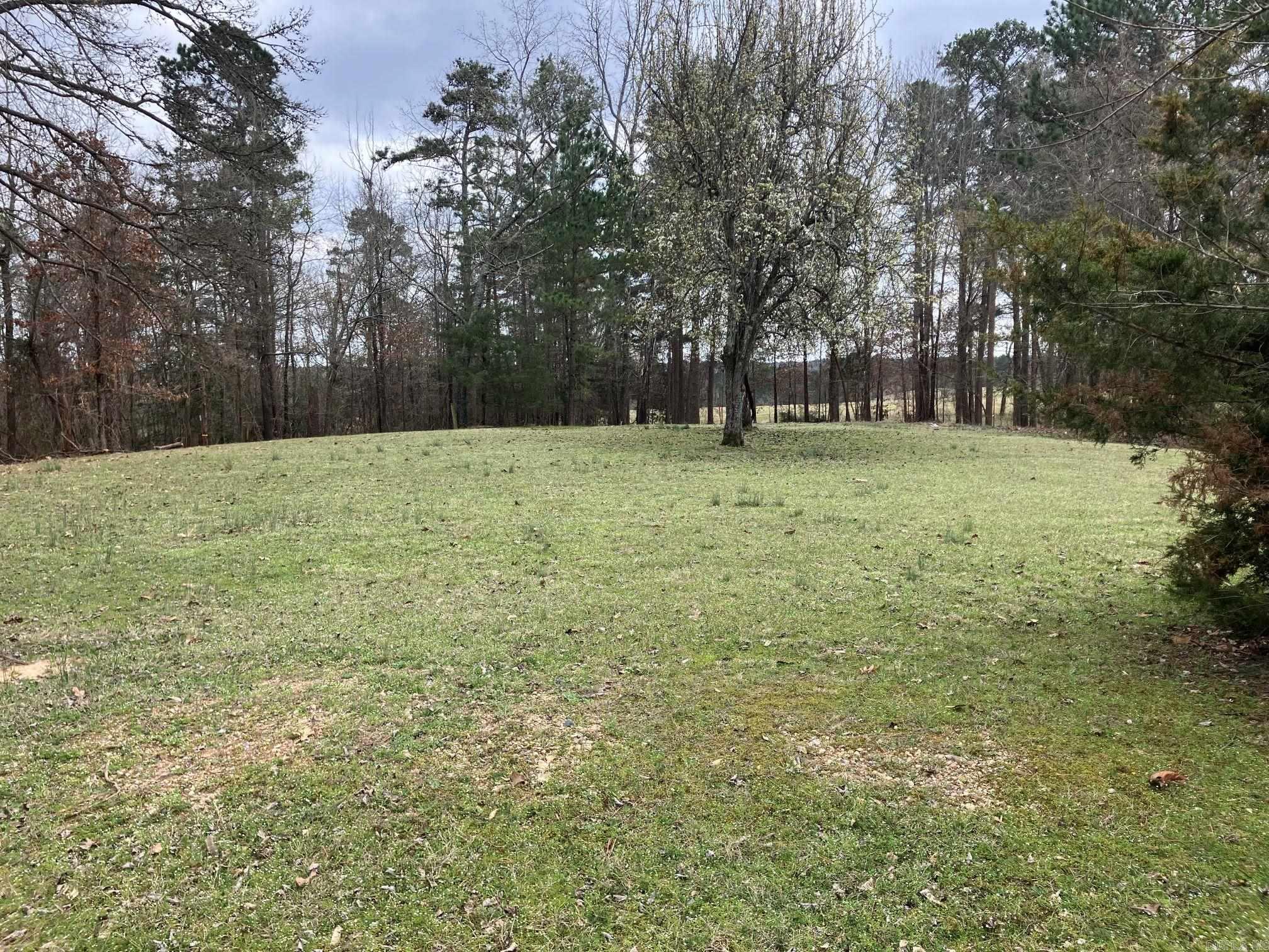 137 Rolling Fork Dr  De Queen, AR