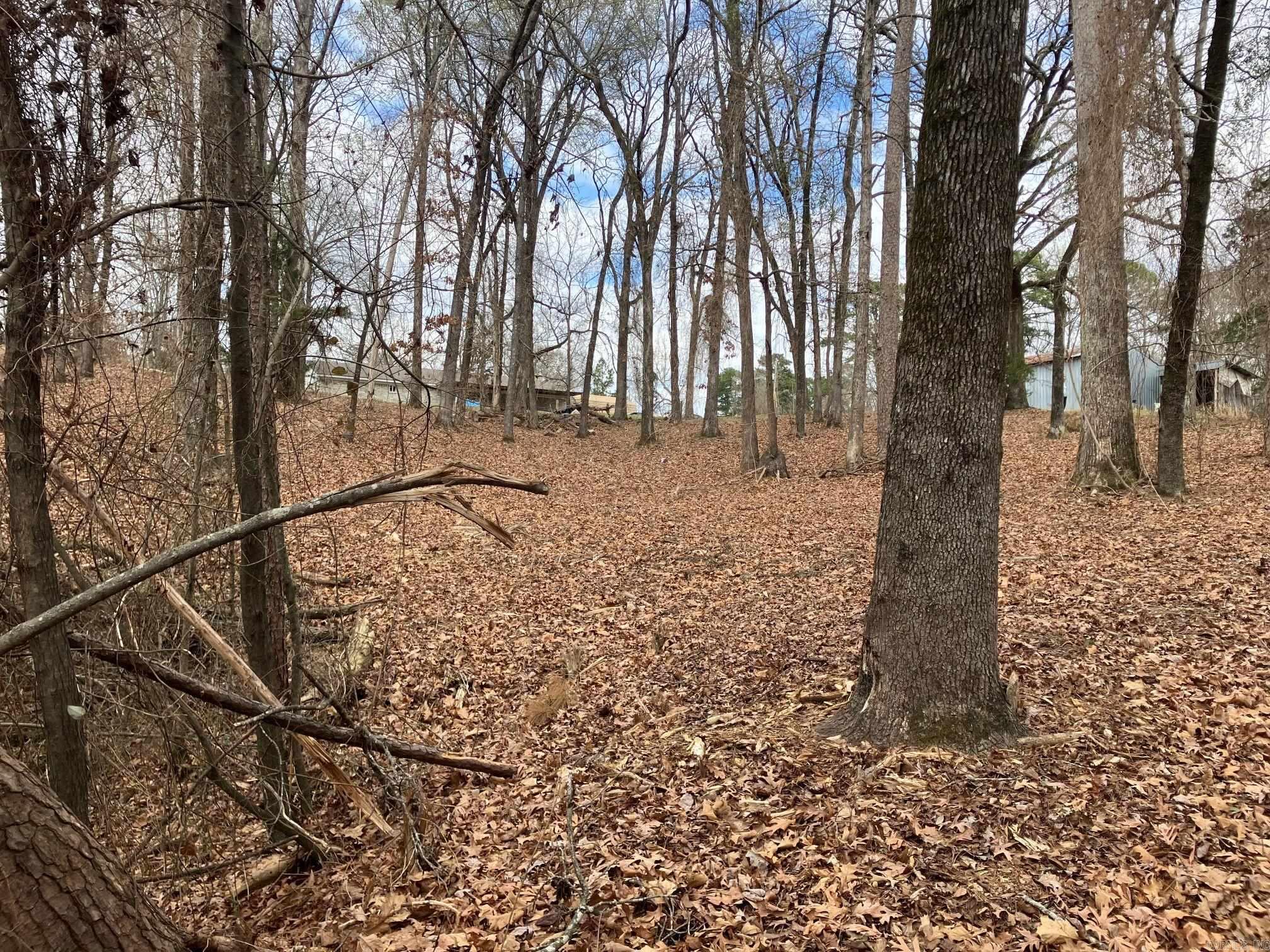 137 Rolling Fork Dr  De Queen, AR