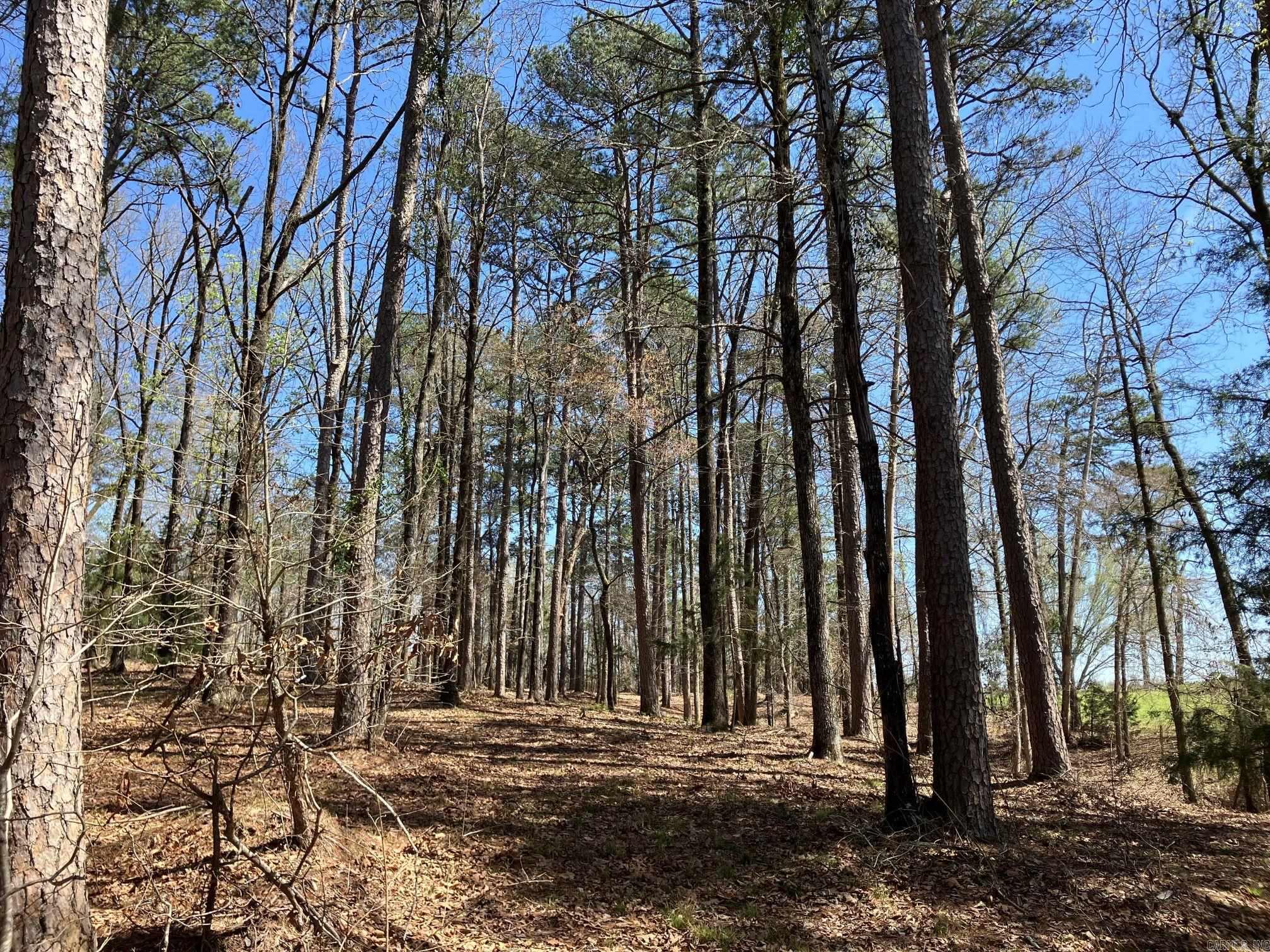 137 Rolling Fork Dr  De Queen, AR