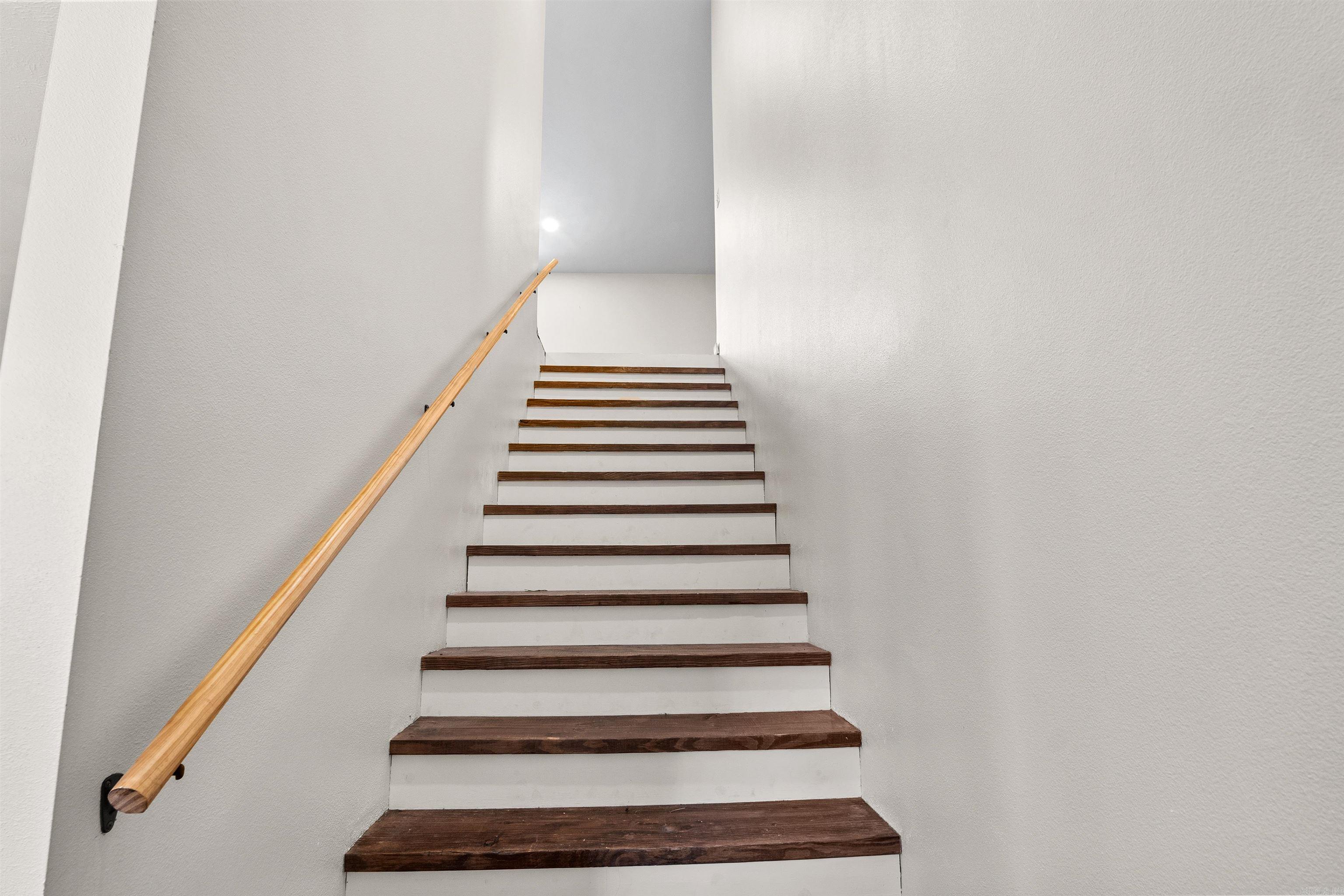 2273 NC #8500  Deer, AR