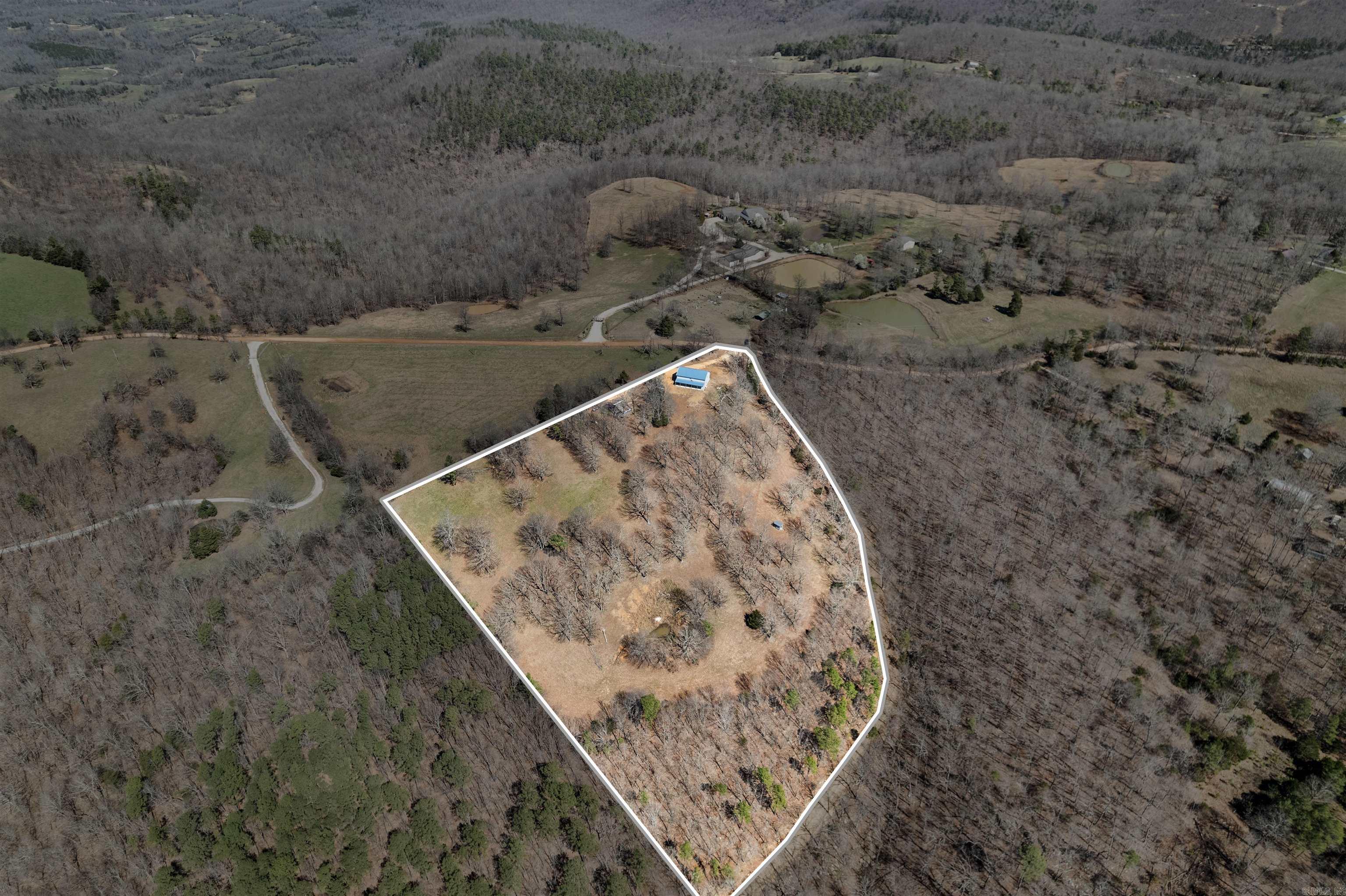 2273 NC #8500  Deer, AR