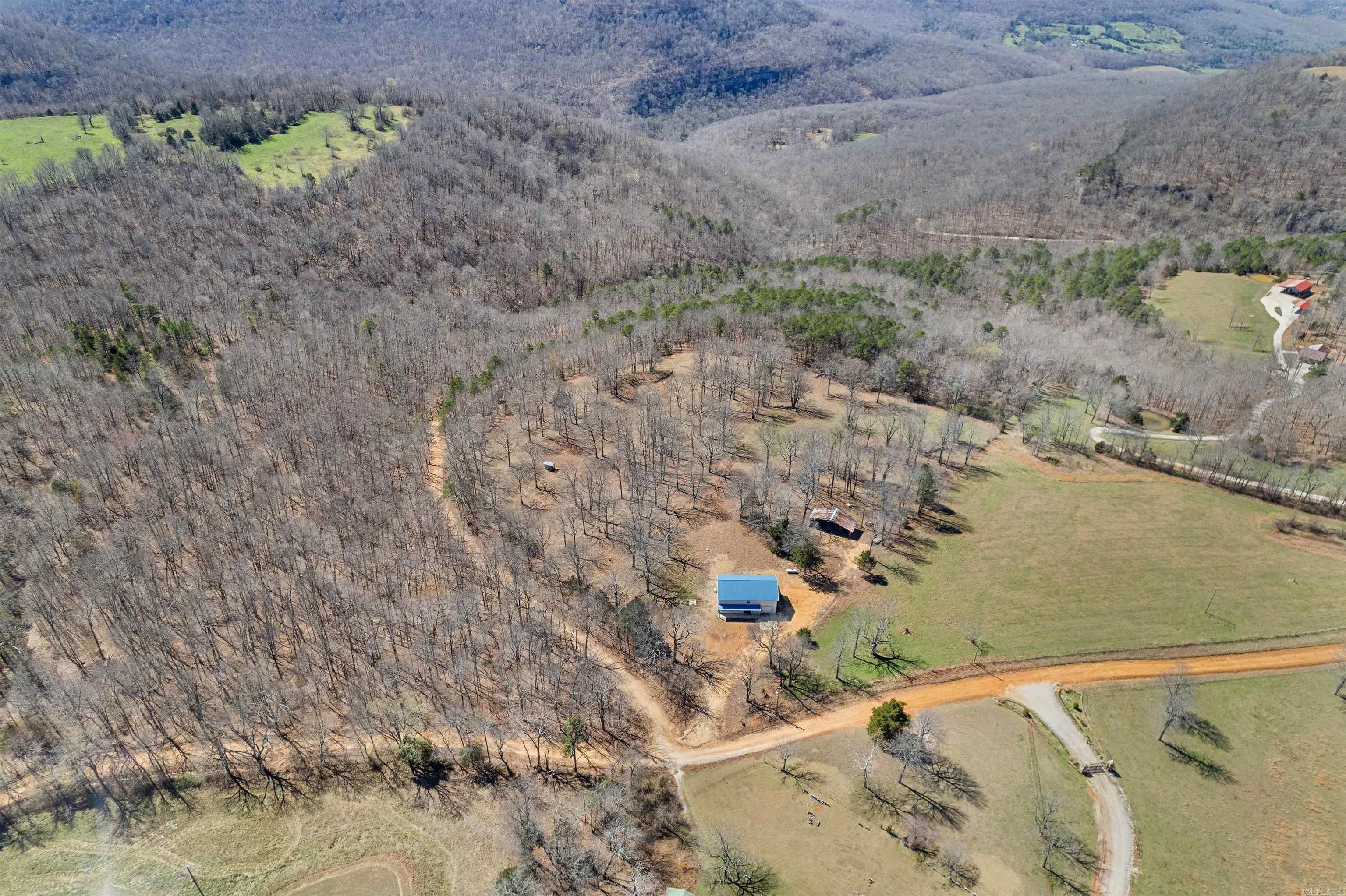 2273 NC #8500  Deer, AR
