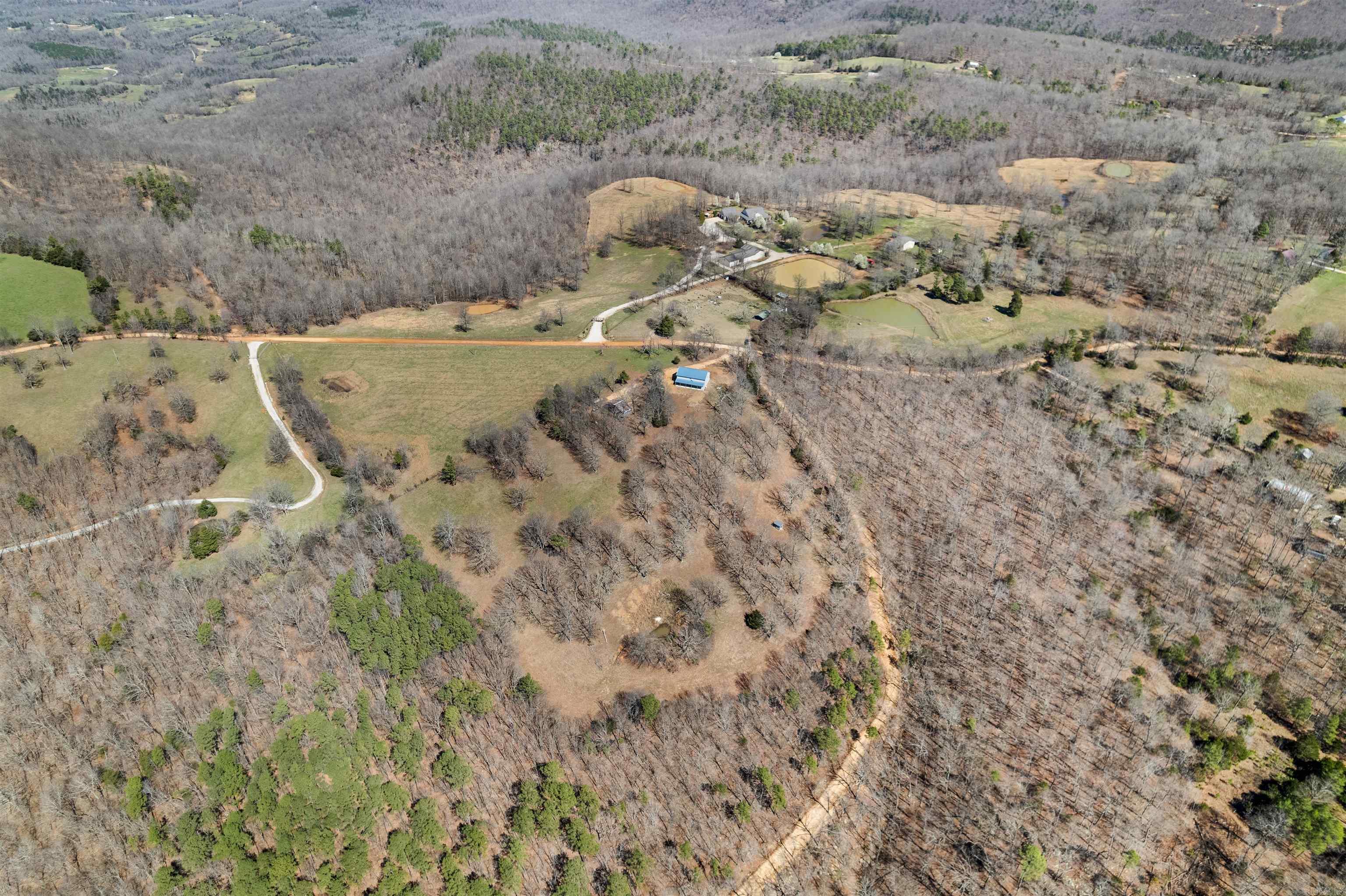 2273 NC #8500  Deer, AR