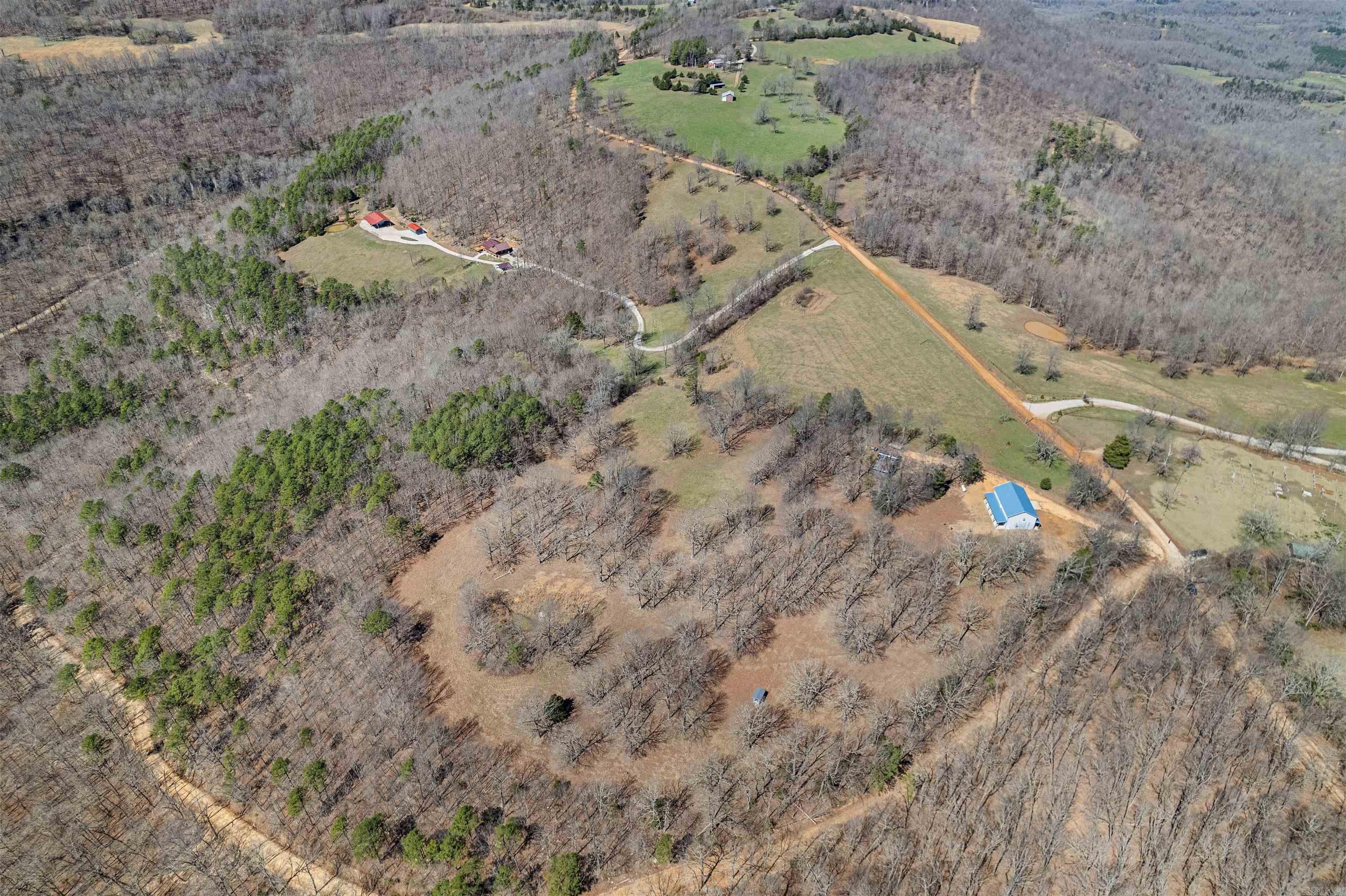 2273 NC #8500  Deer, AR