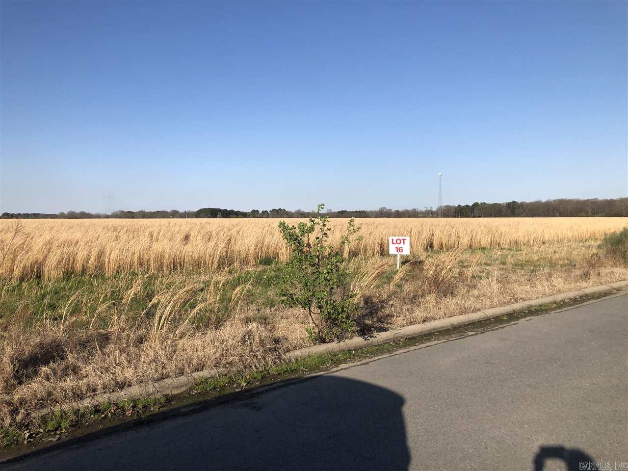 36 acres on Dee Dee Lane  Lonoke, AR
