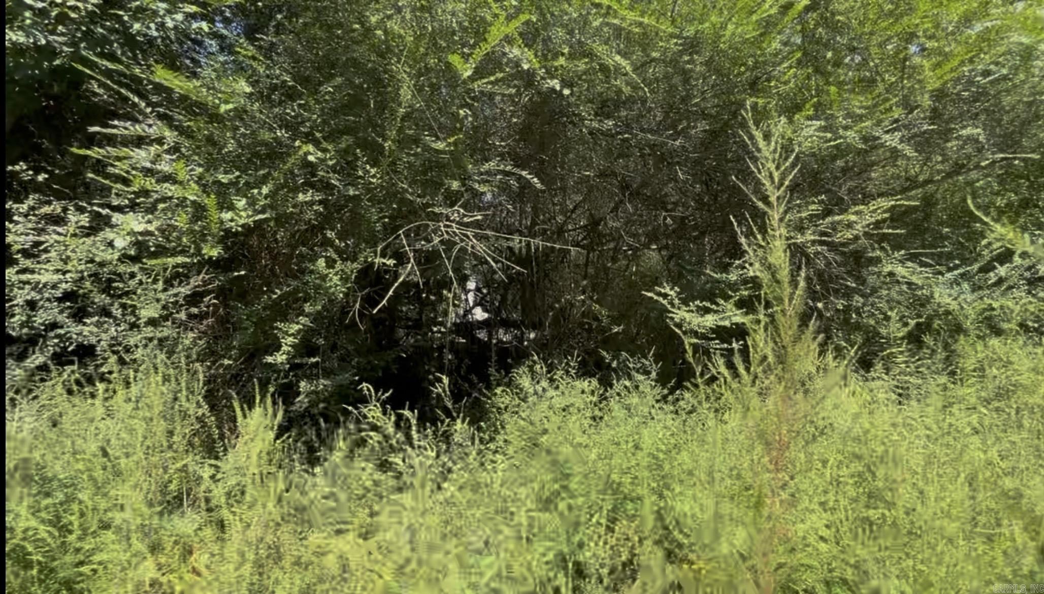 3 Lots Brown  Little Rock, AR